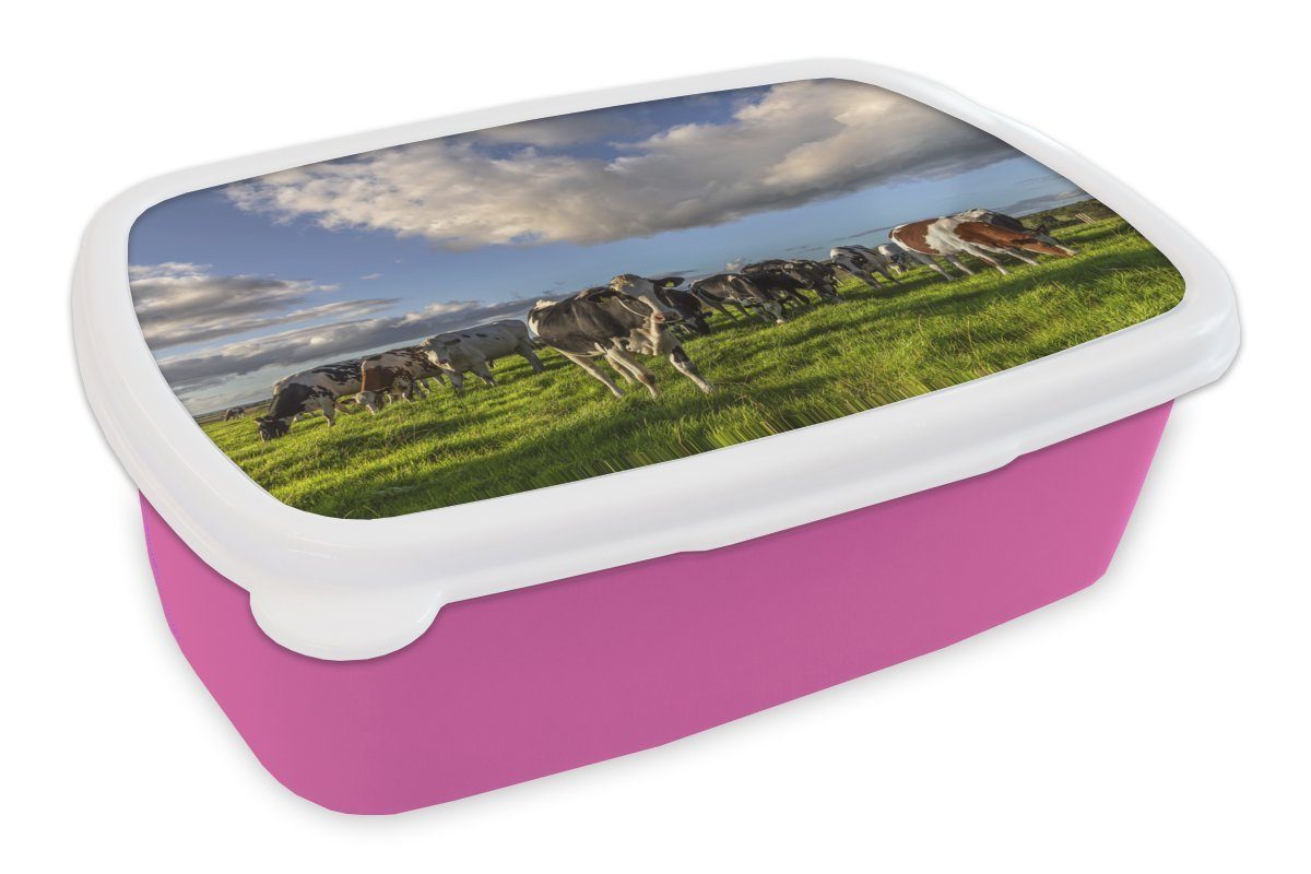 (2-tlg), - MuchoWow Kinder, rosa Brotdose Licht Snackbox, Lunchbox Mädchen, Gras, für Kühe - Erwachsene, Kunststoff Kunststoff, Brotbox