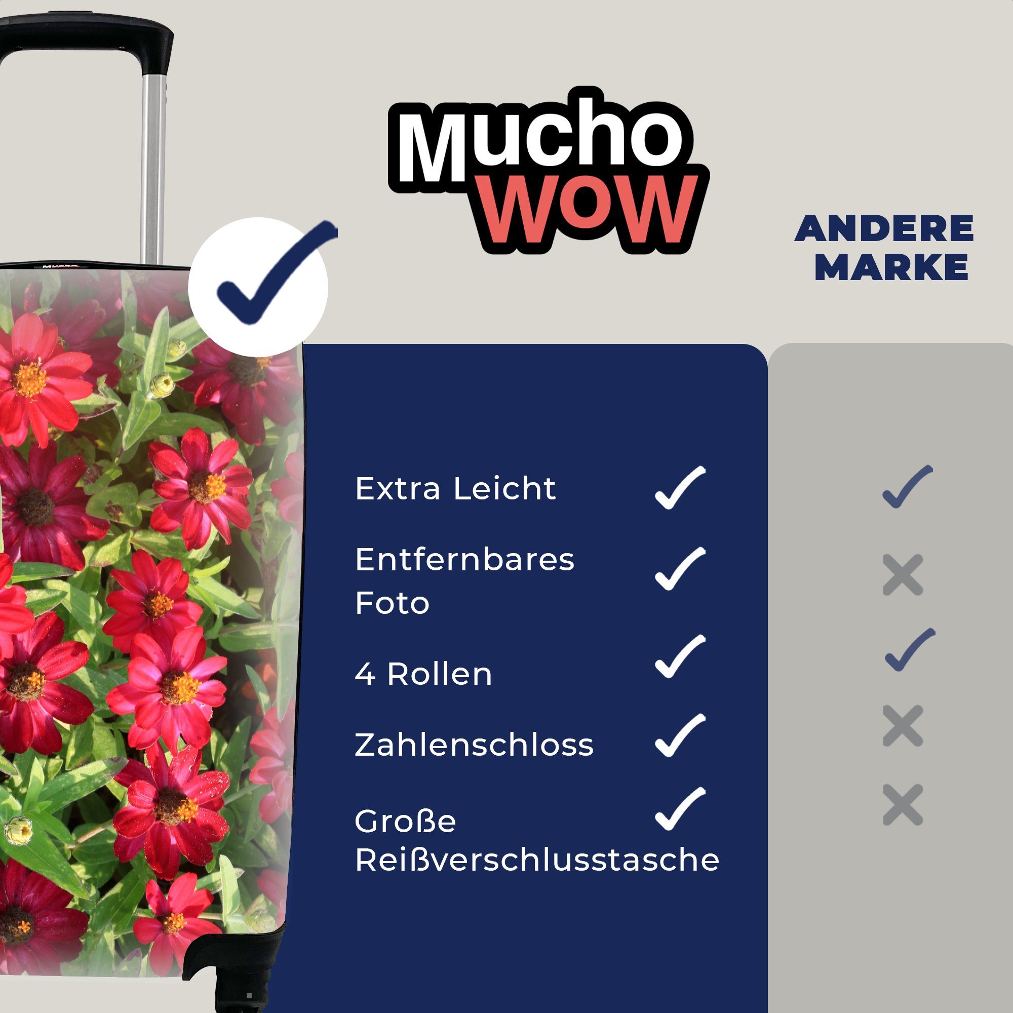 MuchoWow Handgepäckkoffer Rote Handgepäck Zinnienblüten 4 rollen, an einem Rollen, Reisetasche Tag, Reisekoffer für Ferien, Trolley, sonnigen mit