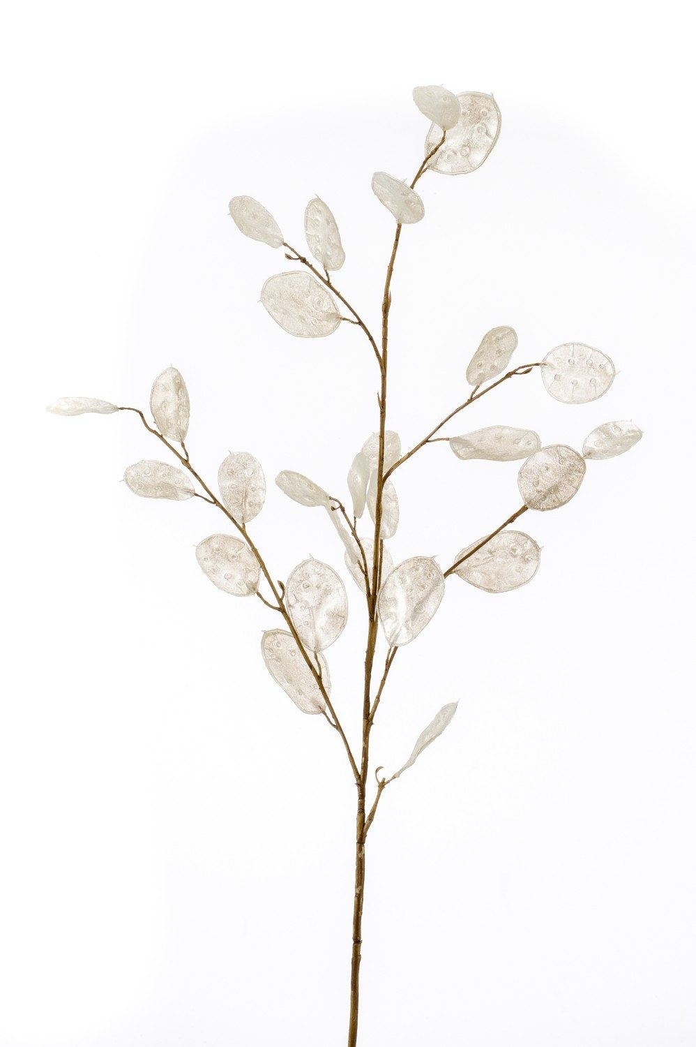 Kunstzweig Dekozweig Lunaria Zweig BUELNA, Creme, 105cm Silberblatt, artplants, Höhe 105.0 cm
