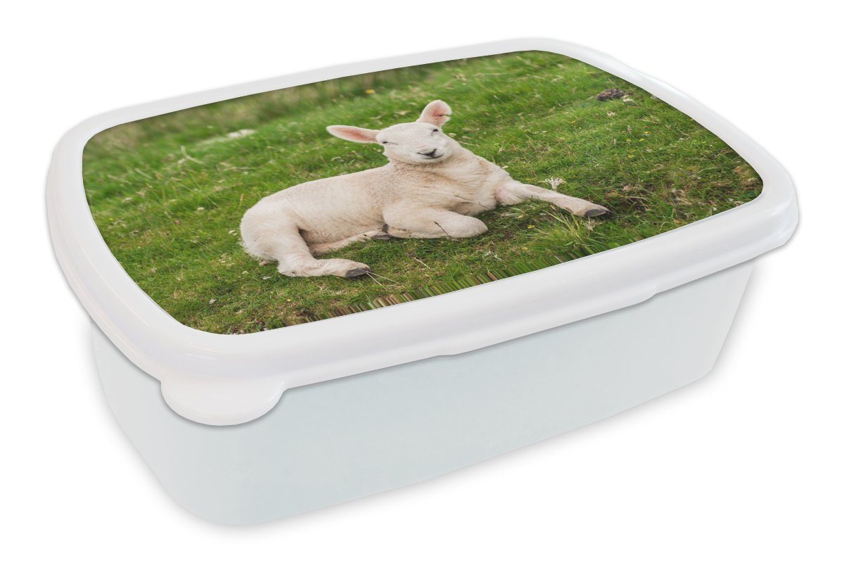 MuchoWow Lunchbox Schafe - Tiere - Lamm, Kunststoff, (2-tlg), Brotbox für Kinder und Erwachsene, Brotdose, für Jungs und Mädchen weiß