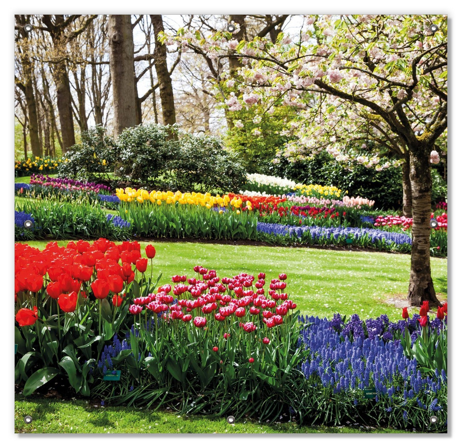 Sonnenschutz Bunte Blumen und Kirsch-Baum im Park blühen im Frühling, Wallario, blickdicht, mit Saugnäpfen, wiederablösbar und wiederverwendbar