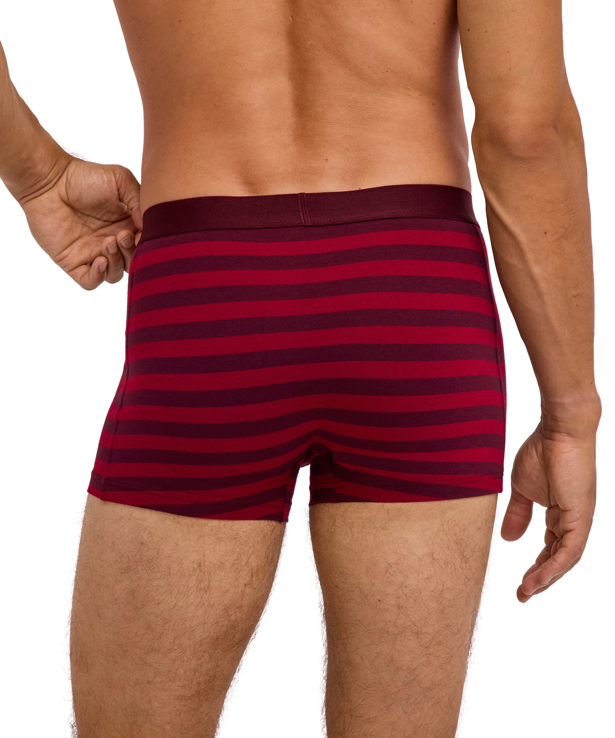 FALKE Funktionsunterhose FALKE Underwear - Bottoms Daily Comfort (1-St., 1)