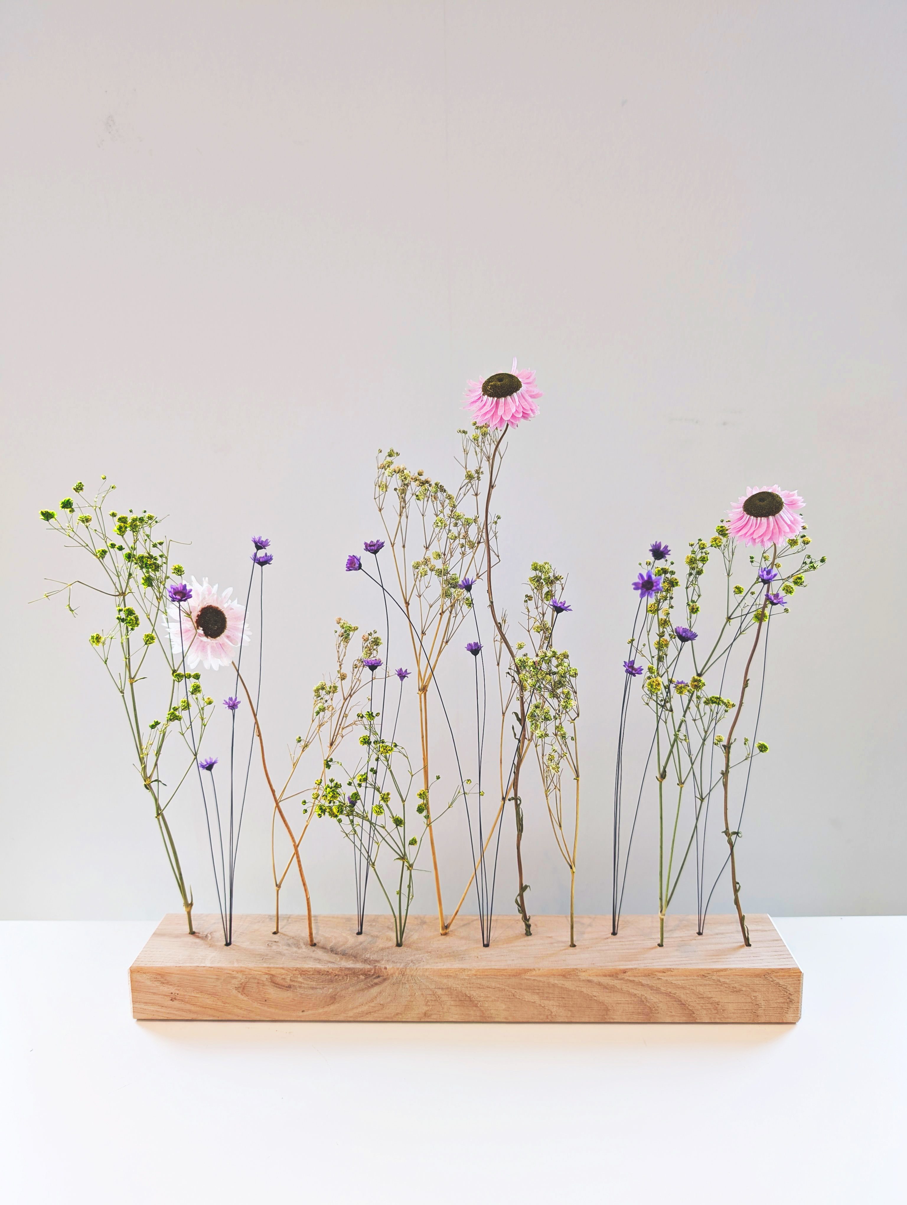 Trockenblume FlowerBar "Fliederleicht", Holzleiste mit Trockenblumen & edle günstig online kaufen