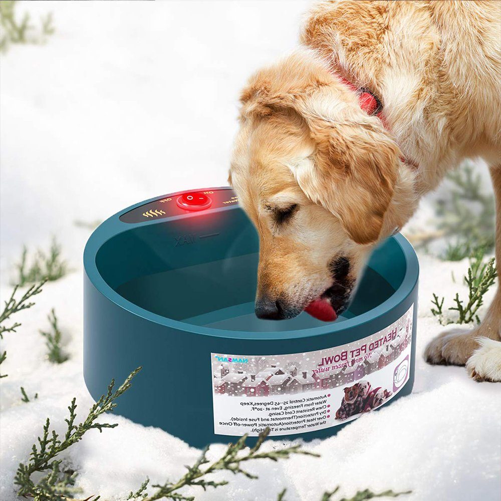 Futternapf automatische konstante Temperatur, für Haustier Katze Hund