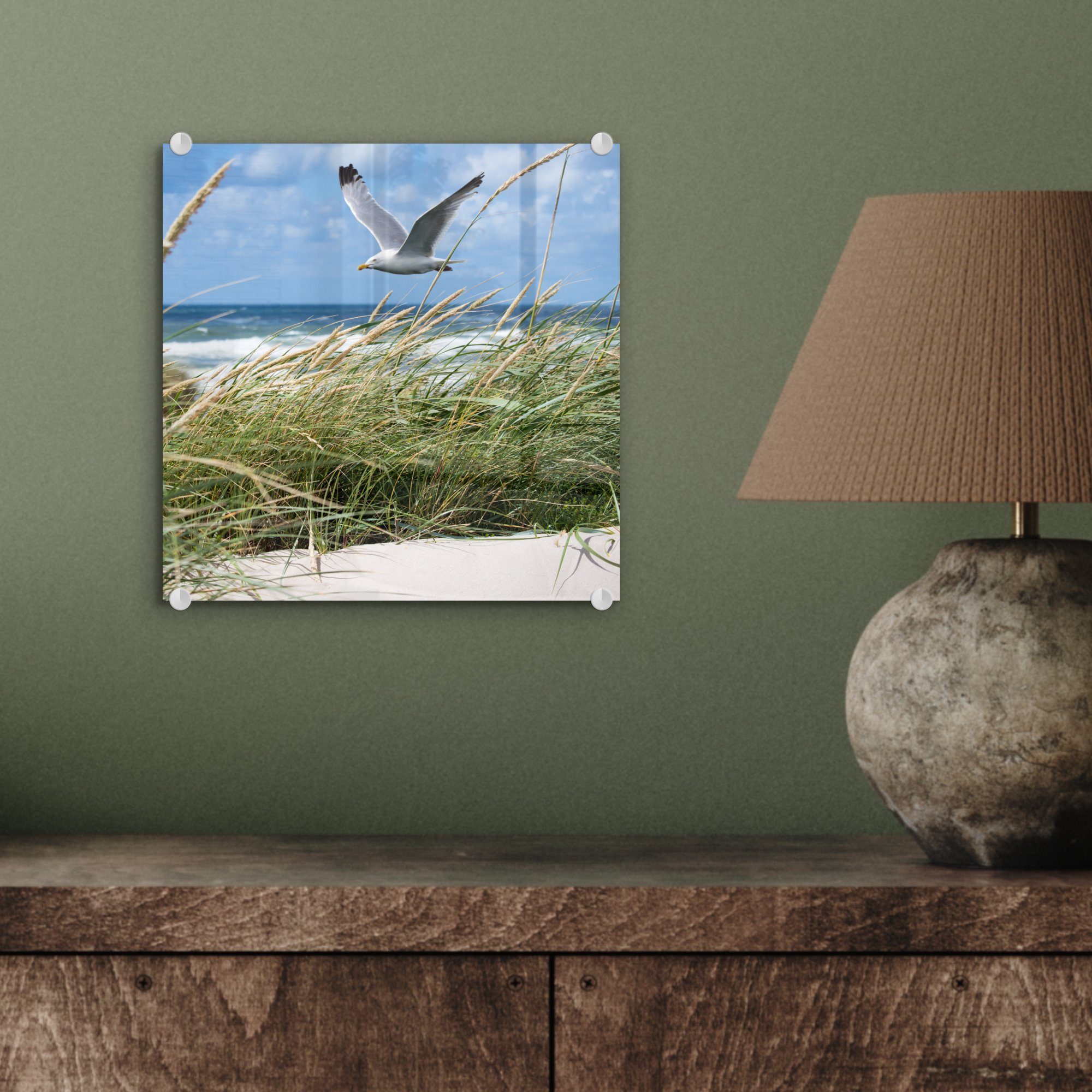 - - Acrylglasbild St), Bilder Glasbilder (1 auf Strand Glas - MuchoWow Wandbild Wanddekoration Foto Pflanzen, Glas - - auf Vogel