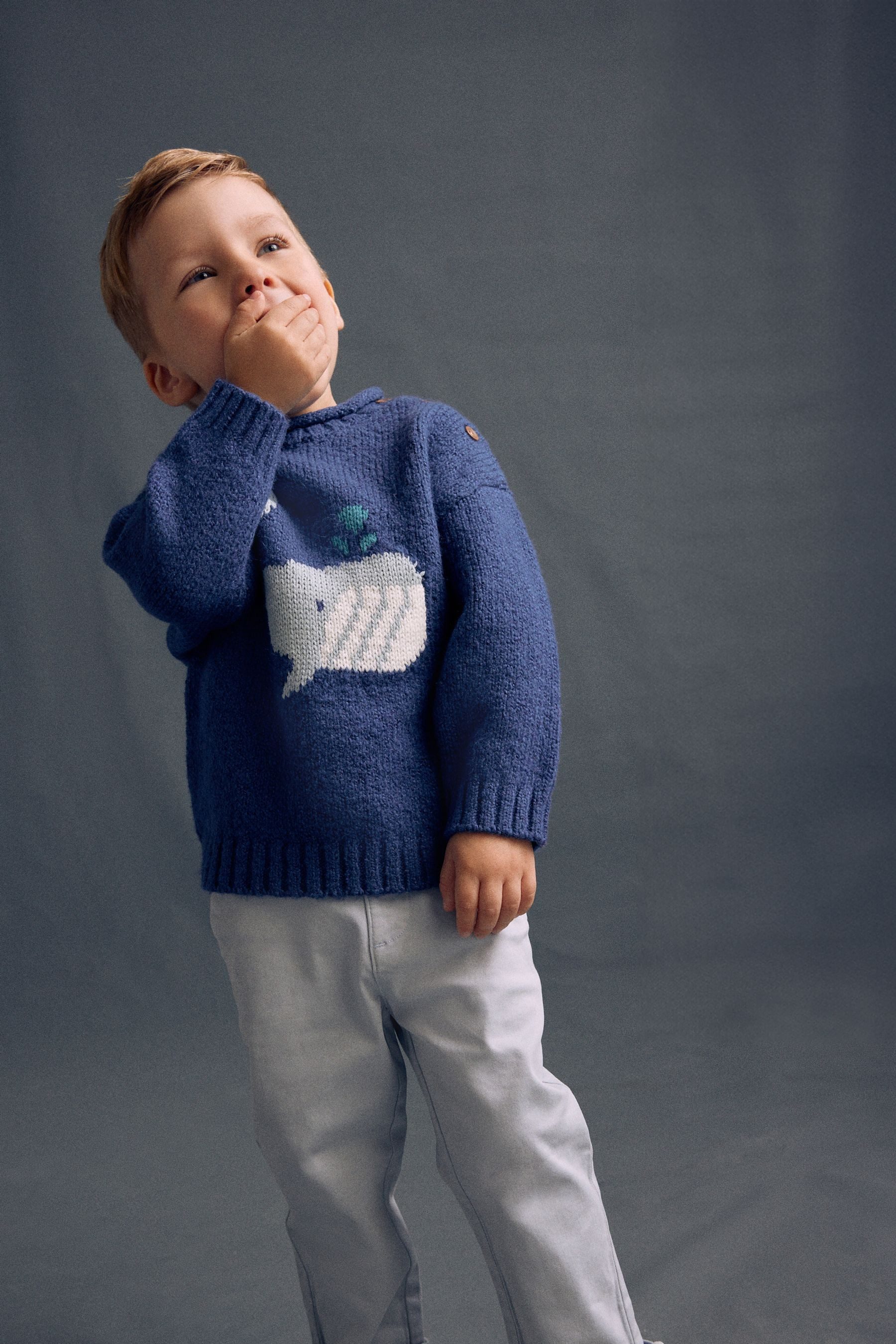 Next Strickpullover Strickpullover (1-tlg)