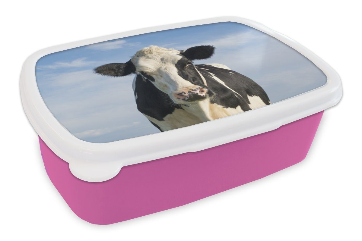 Mädchen, Kunststoff, MuchoWow Luft, Kunststoff Kuh - Lunchbox (2-tlg), rosa Brotbox Niederlande Brotdose Kinder, Erwachsene, - für Snackbox,