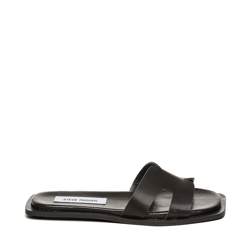 STEVE MADDEN Steve Madden - Sofia - Schwarz Pantolette günstig online kaufen
