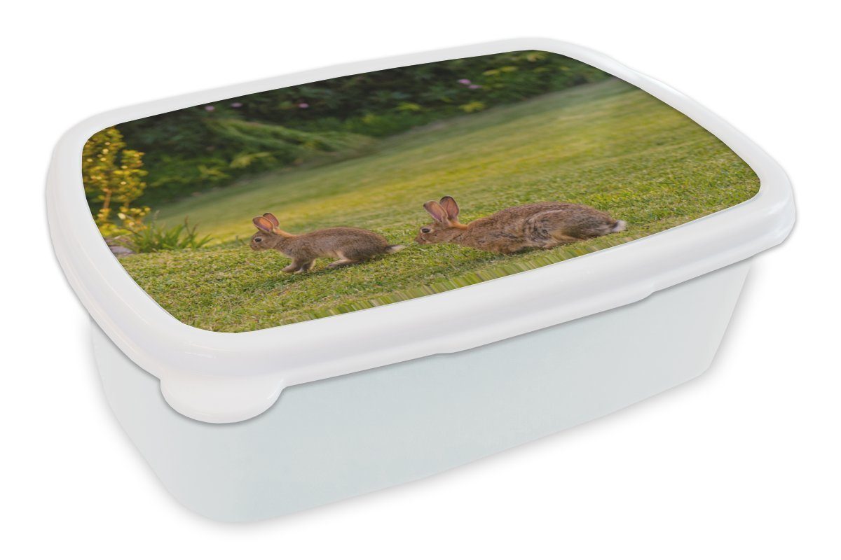 MuchoWow Lunchbox Kaninchen - Wild - Tiere, Kunststoff, (2-tlg), Brotbox für Kinder und Erwachsene, Brotdose, für Jungs und Mädchen weiß