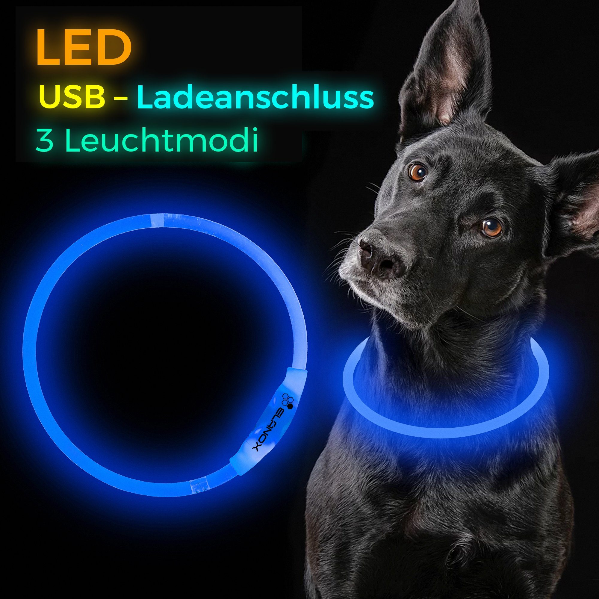 ELANOX Leuchthalsband LED Hundehalsband 5 Farben helle LED Размер anpassbar