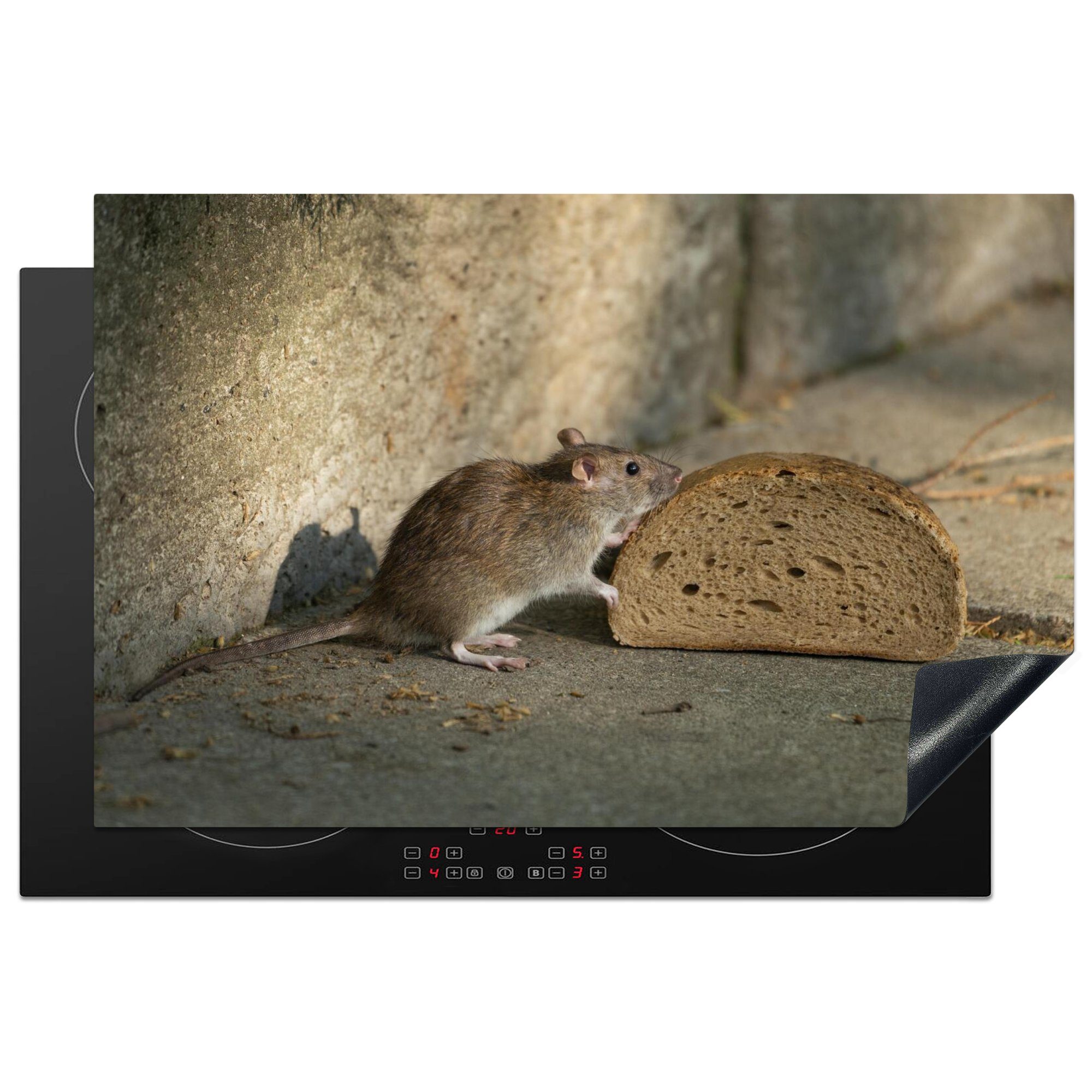 Ratte Schutz Brot, küche, die für cm, 81x52 Ceranfeldabdeckung tlg), Vinyl, MuchoWow an Induktionskochfeld schnuppert Herdblende-/Abdeckplatte (1