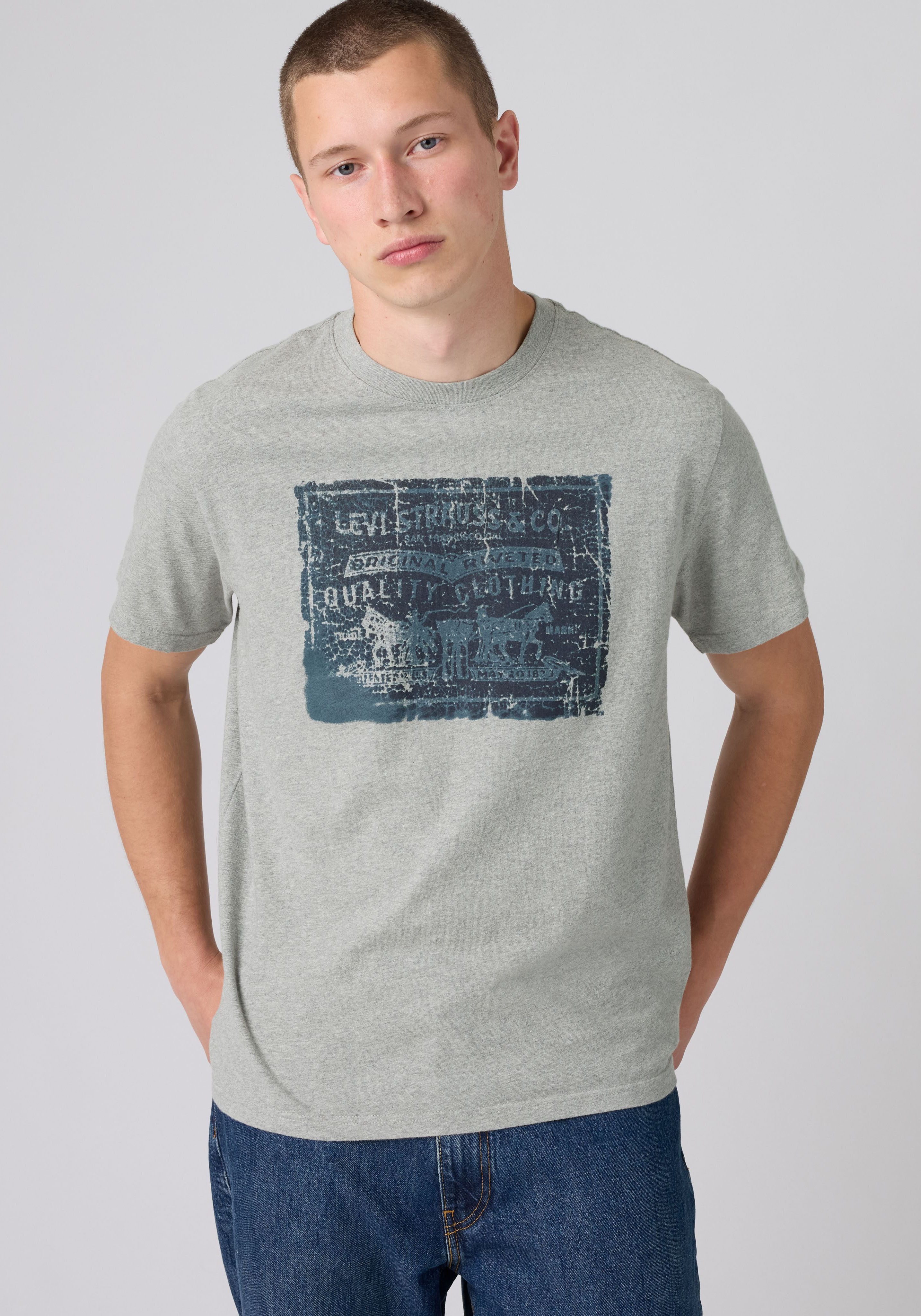Levi's® T-Shirt SS RELAXED FIT TEE mit großem Frontprint