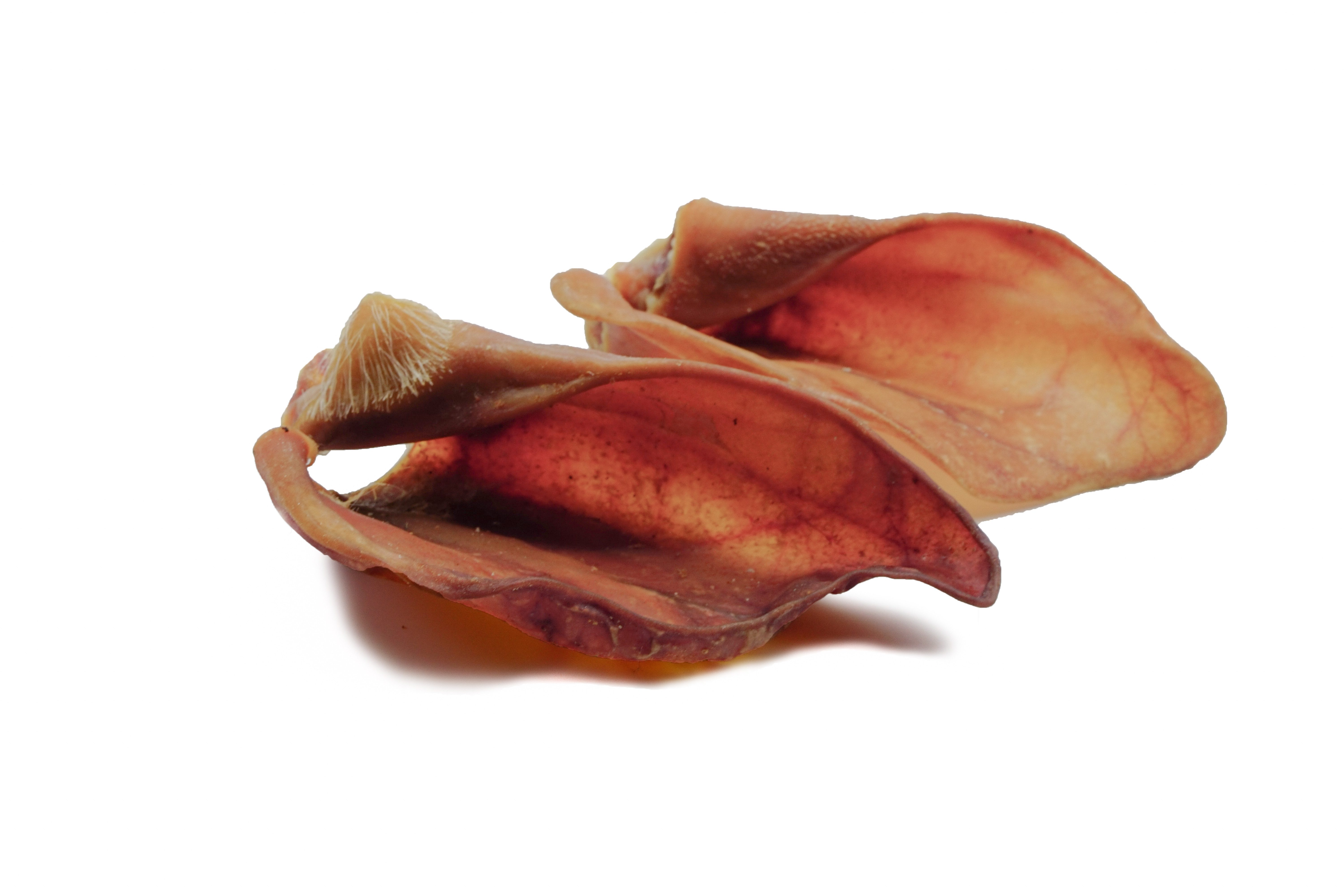 123... Hund dabei! Schweineohr, Snack für: Hunde