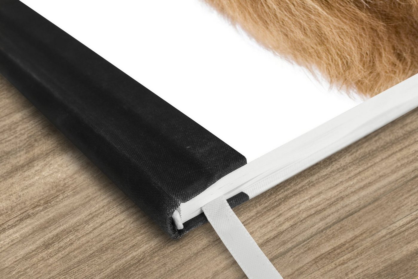 Thumbnail - MuchoWow Notizbuch Schottischer Hochländer - Tiere - Braun - Natur, Journal, Merkzettel, Tagebuch, Notizheft, A5, 98 Sei...