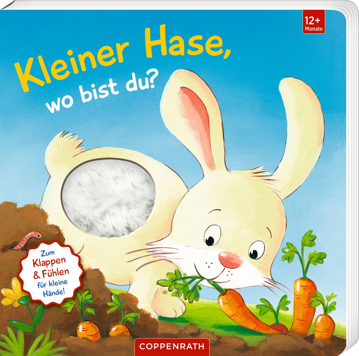 Mein 1. Guckloch-Fühlbuch: Kl. Hase, wo bist du? (Fühlen&b) / Sabine Kraushaar