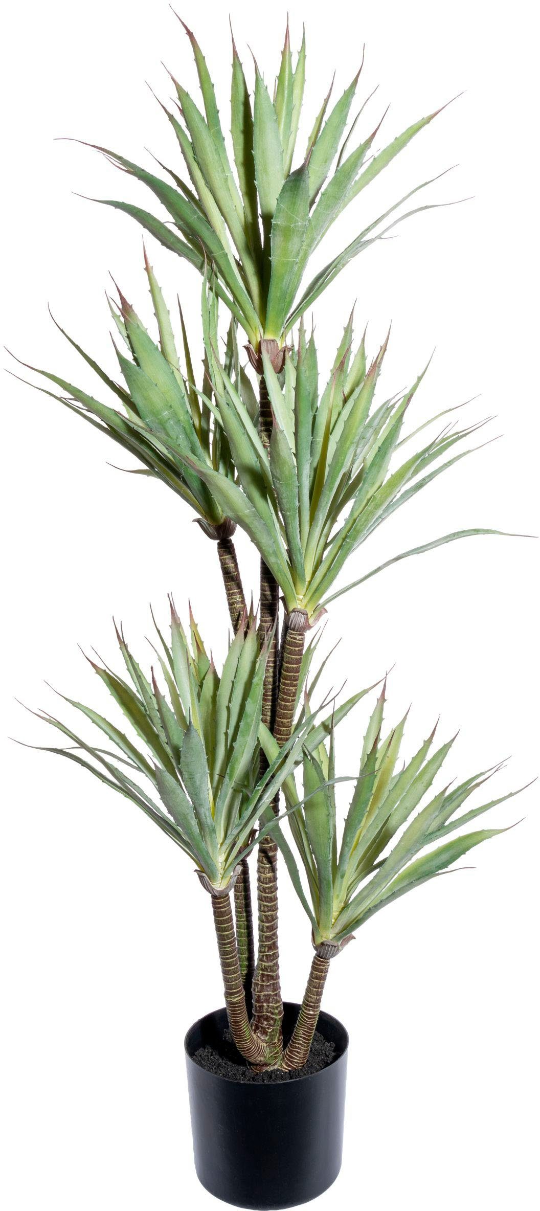 Künstliche Zimmerpflanze Agave Sukkulente, Creativ green, Höhe 110 cm günstig online kaufen