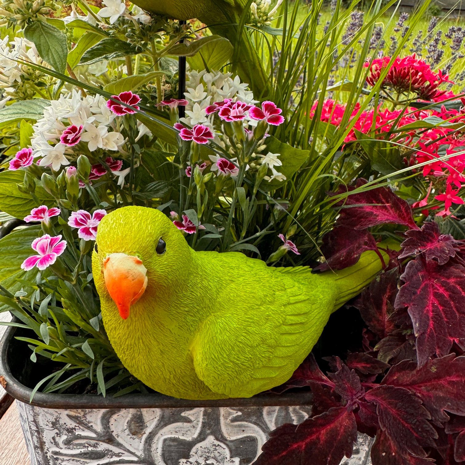 Online-Fuchs Dekofigur Gartenfiguren - 2 Papageien, günstig online kaufen