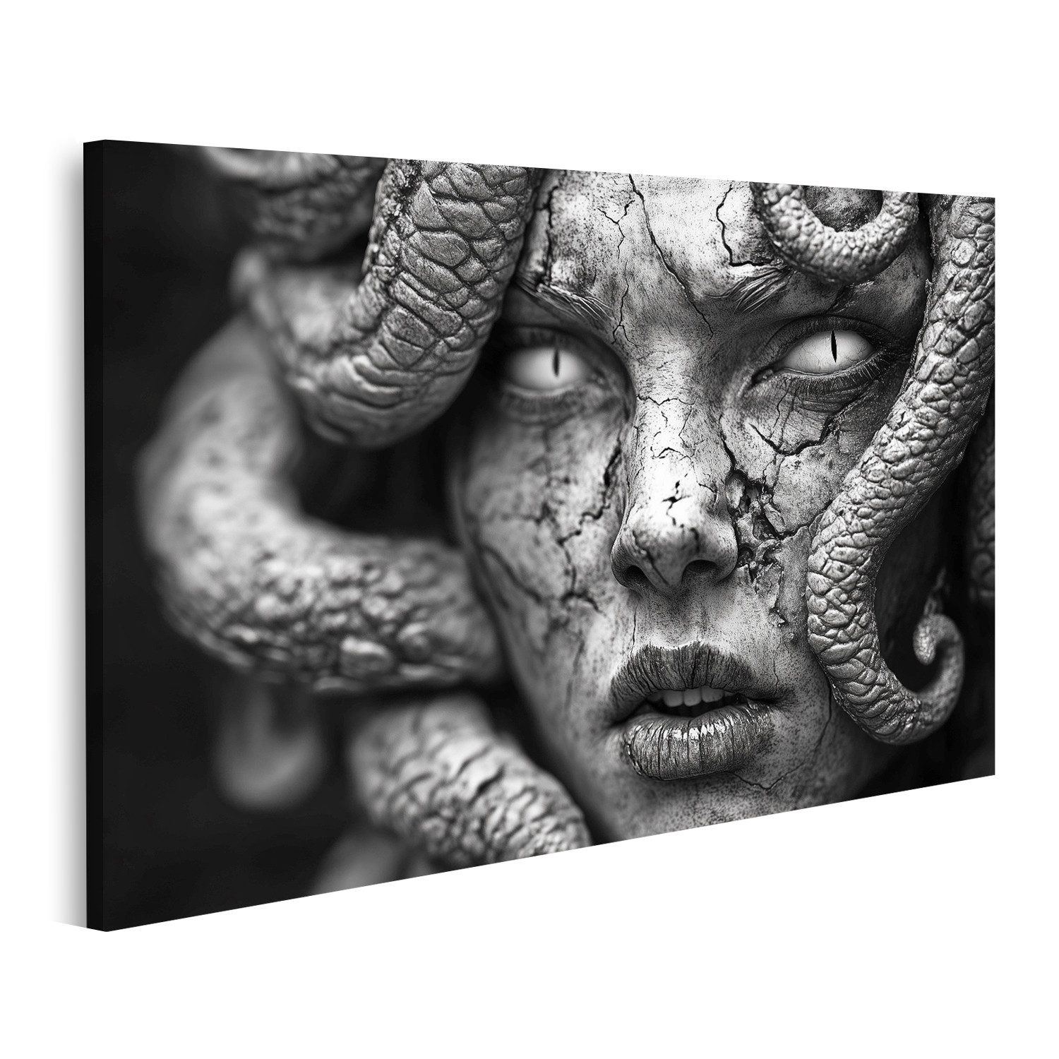 Leinwandbild Verwitterte Medusa in Schwarzweiß
