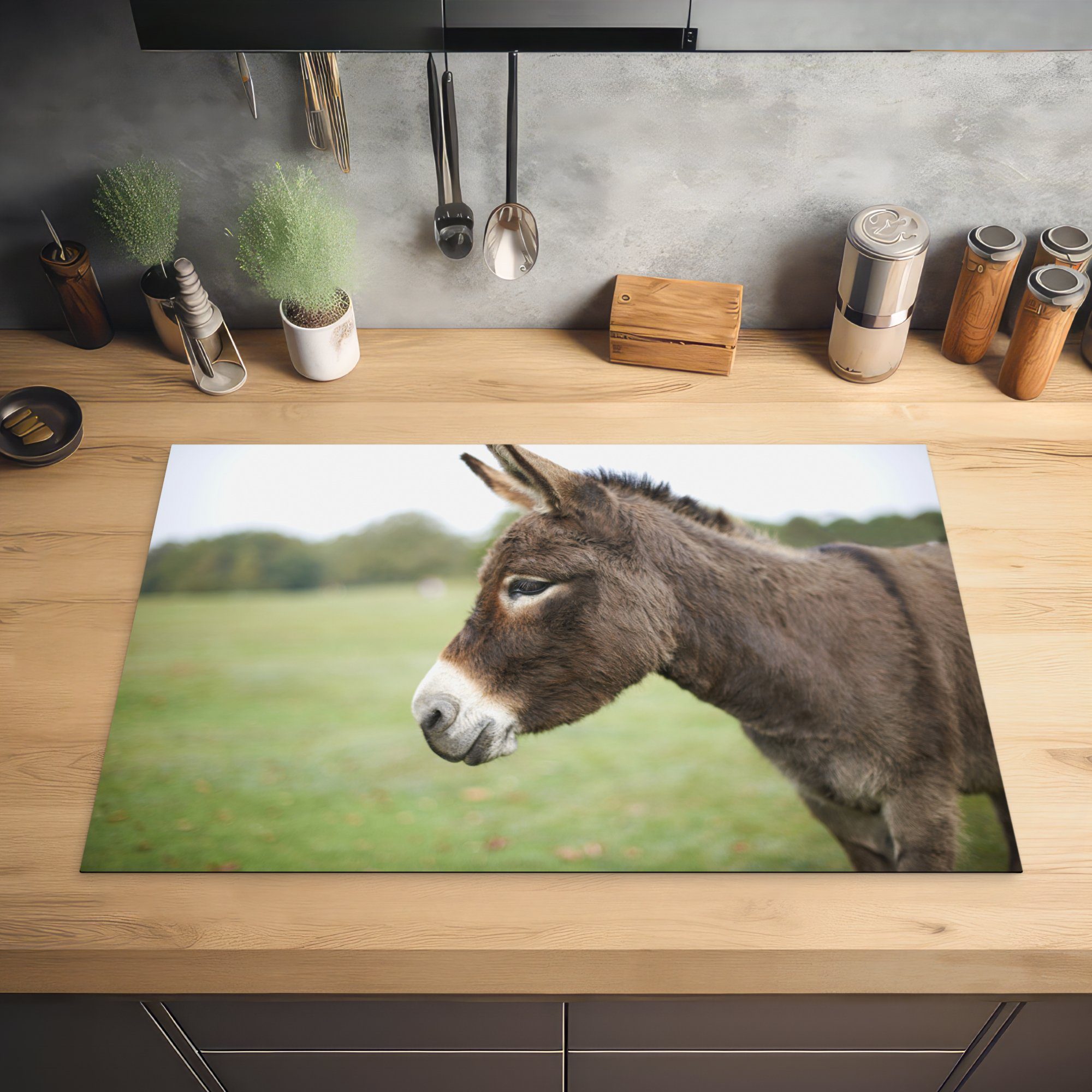 cm, Ceranfeldabdeckung Schutz Nahaufnahme (1 Herdblende-/Abdeckplatte MuchoWow Vinyl, Induktionskochfeld tlg), Zwerg, die küche, 81x52 für