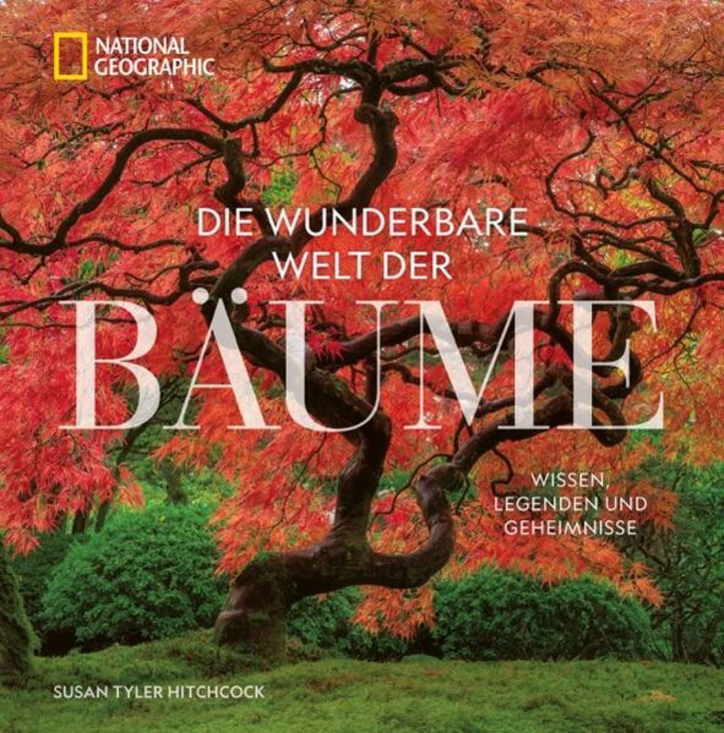 Die wunderbare Welt der Bäume / Susan Tyler Hitchcock