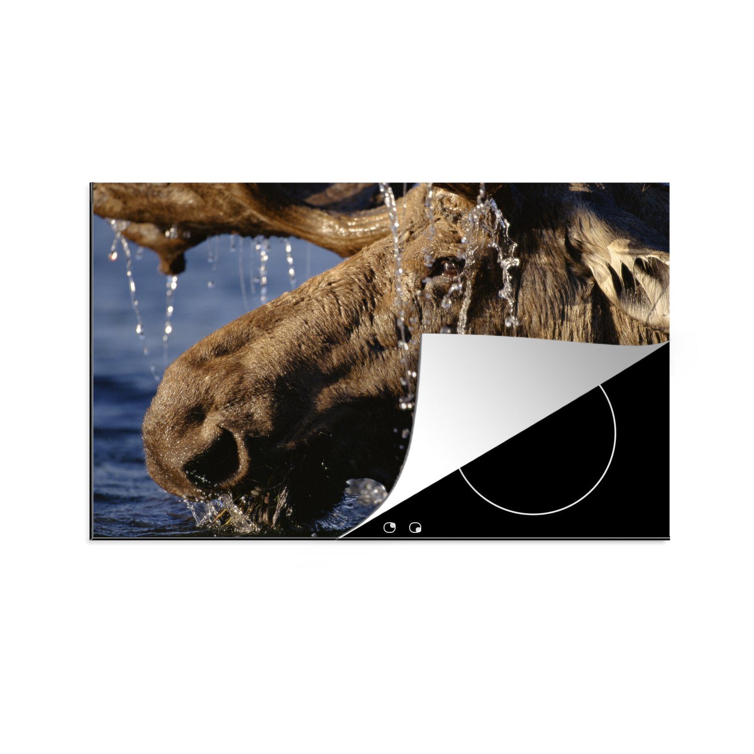 MuchoWow Herdblende-/Abdeckplatte Nahaufnahme eines Elchs im Wasser, Vinyl, (1 tlg), 81x52 cm, Induktionskochfeld Schutz für die küche, Ceranfeldabdeckung