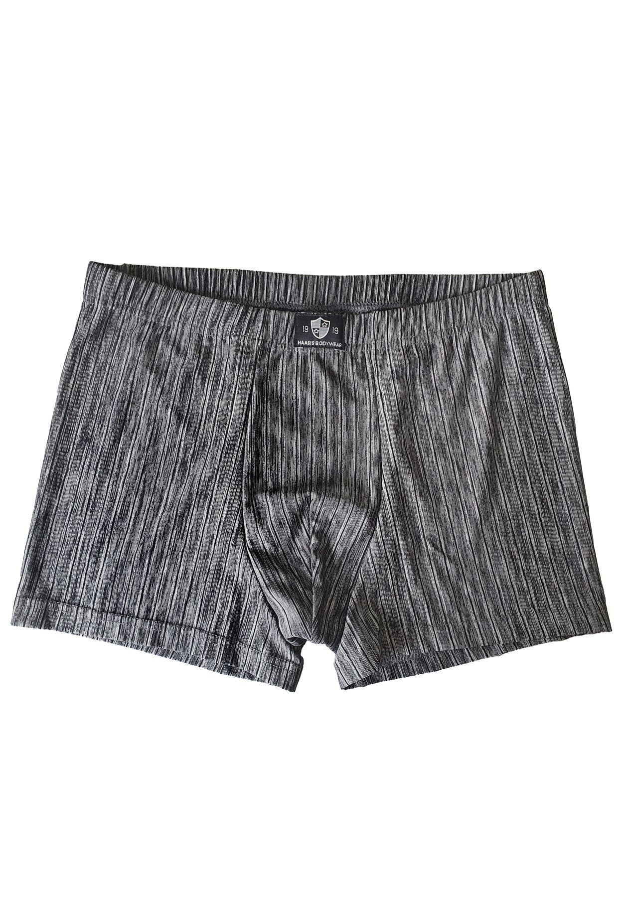 HAASIS Bodywear 1919 Retro Pants Herren Pants 77240413-L (Packung, 2-St., 2 günstig online kaufen