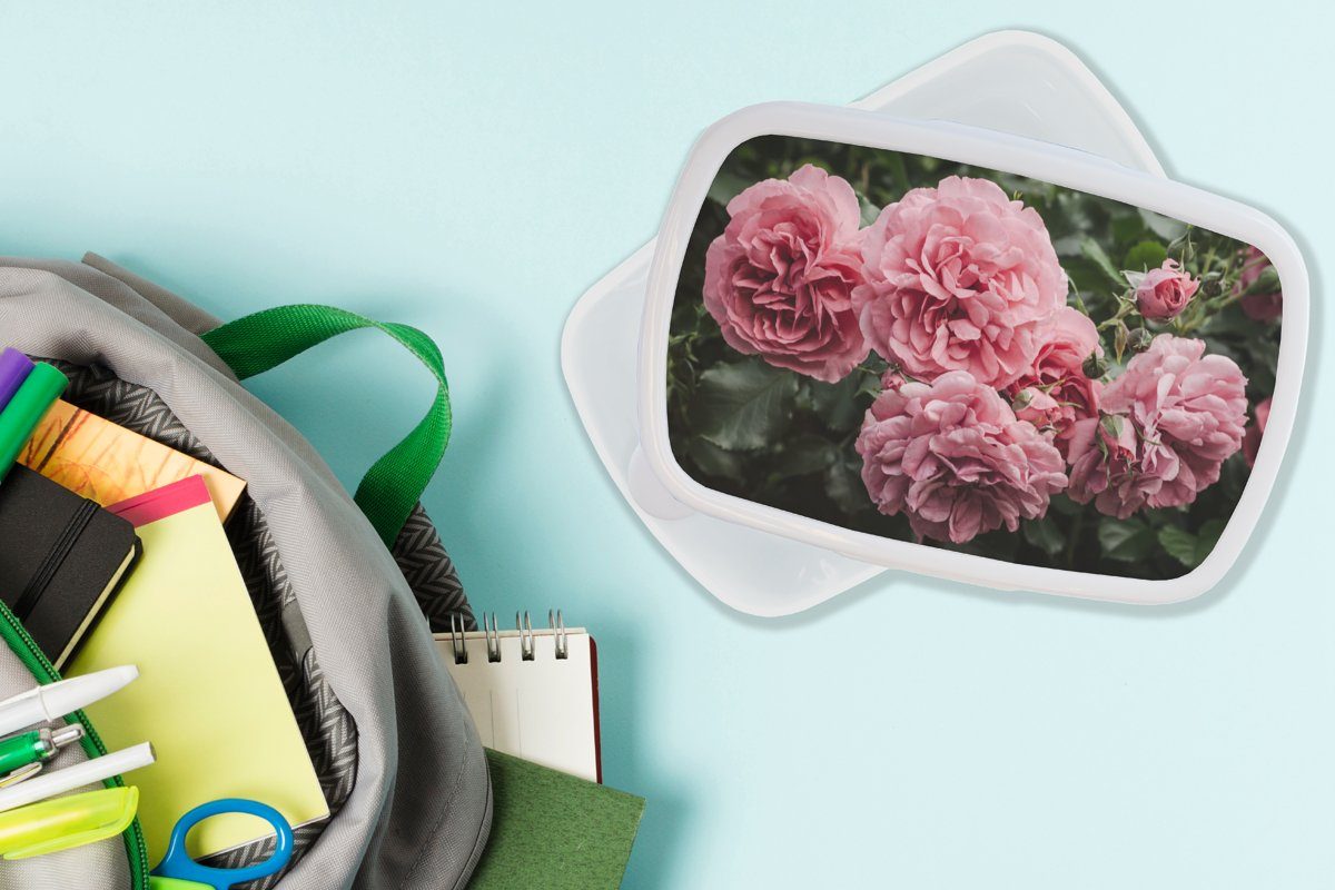 MuchoWow Lunchbox Rosa - Jungs weiß Brotbox für Blumen Erwachsene, und Mädchen Kinder - (2-tlg), und Rosen, Brotdose, für Kunststoff