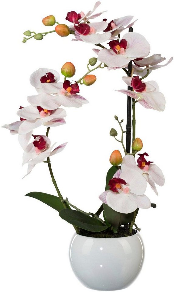 Kunstpflanze Phalaenopsis Orchidee, Creativ green, Höhe 42 cm
