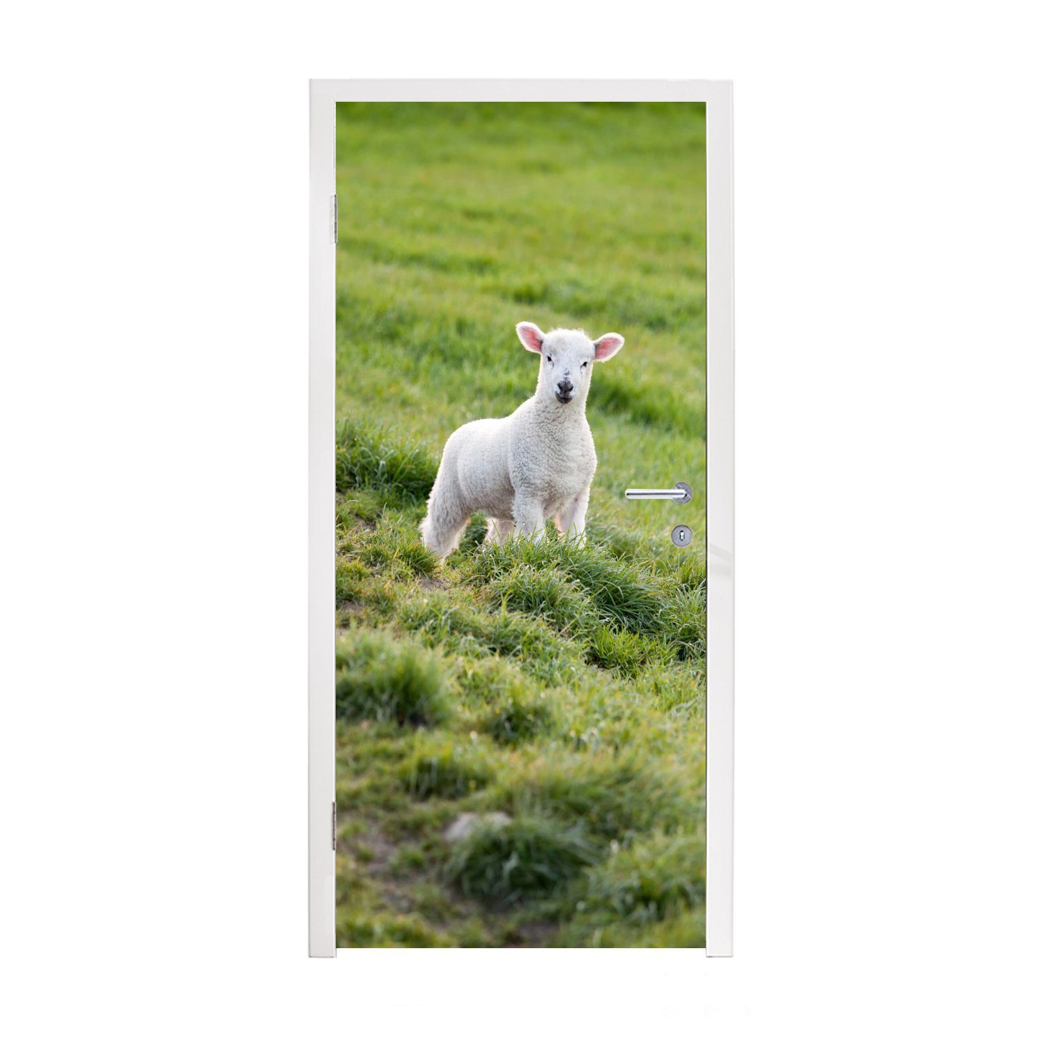MuchoWow Türtapete Schaf - Tier - Gras, Matt, bedruckt, (1 St), Fototapete für Tür, Türaufkleber, 75x205 cm