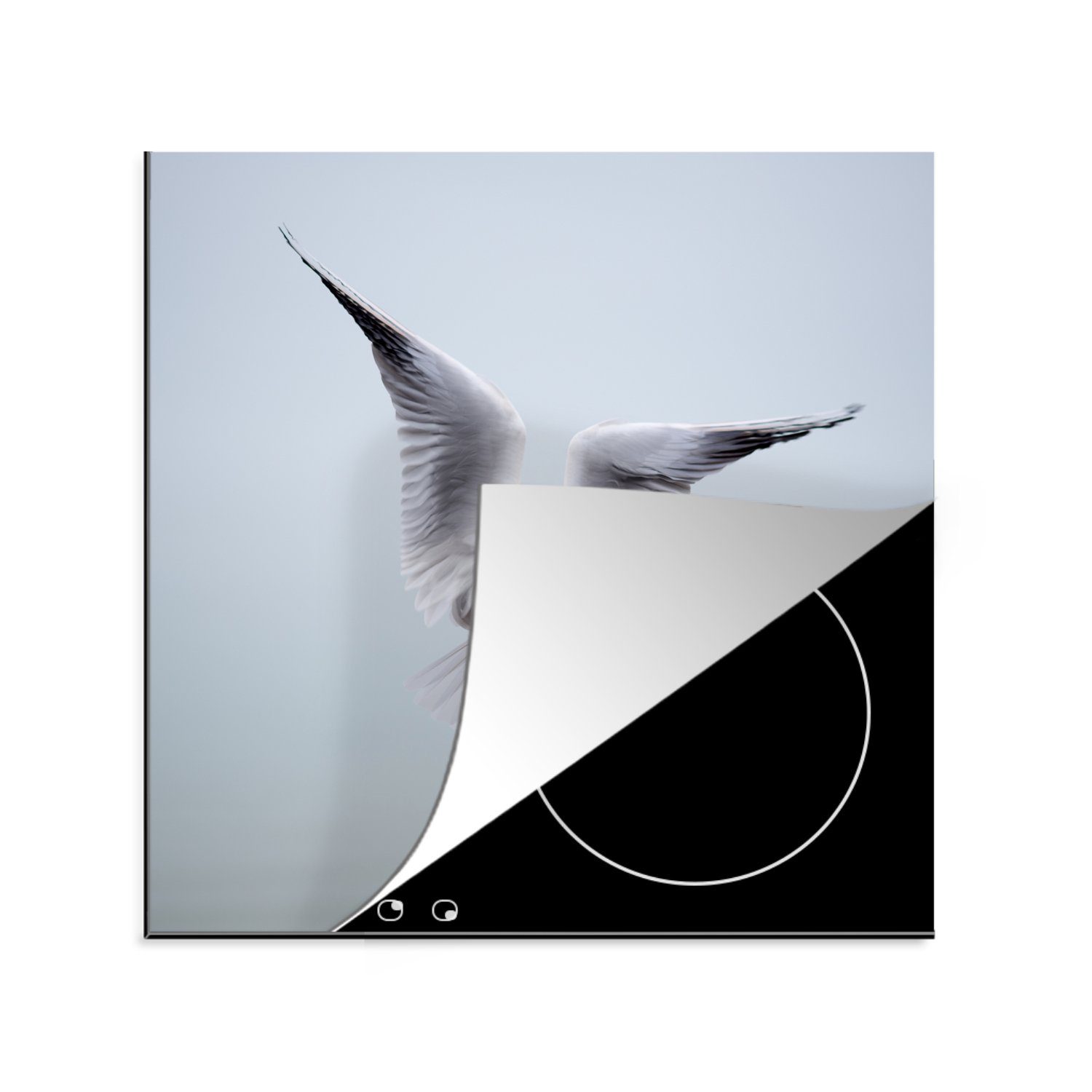 MuchoWow Herdblende-/Abdeckplatte Möwe - Flügel - Vogel, Vinyl, (1 tlg), 78x78 cm, Ceranfeldabdeckung, Arbeitsplatte für küche