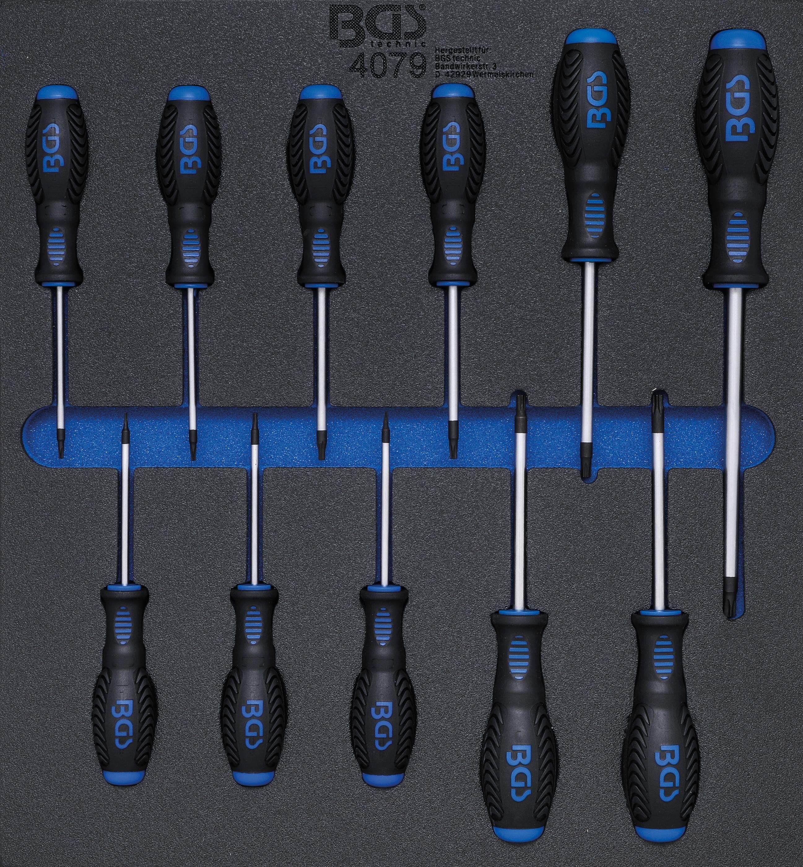 BGS technic Werkstattwagen Werkstattwageneinlage 2/3: Schraubendreher T-Profil (für Torx), T6 - T40, 11-tlg.