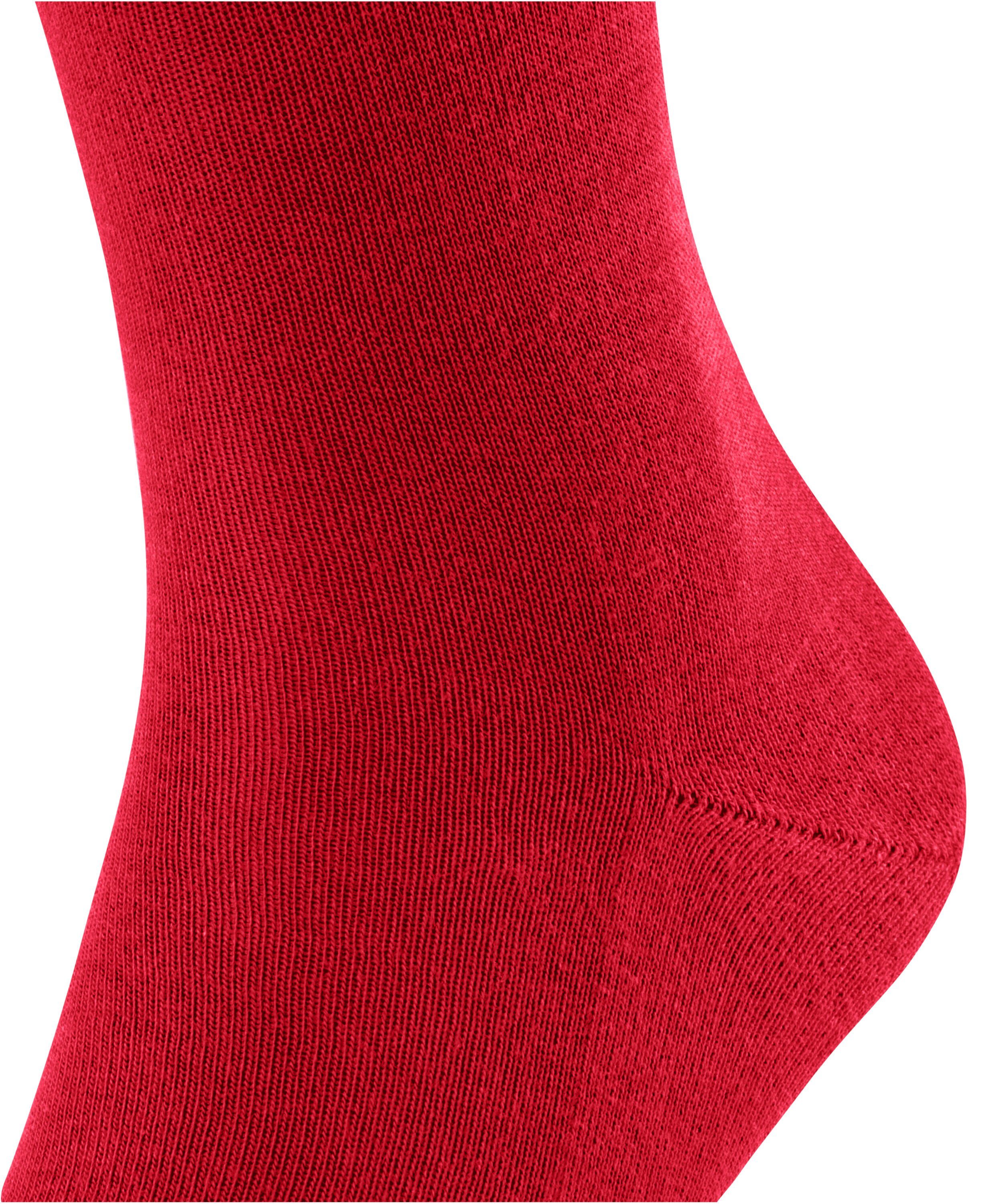 Family Socken FALKE (8228) (1-Paar) scarlet