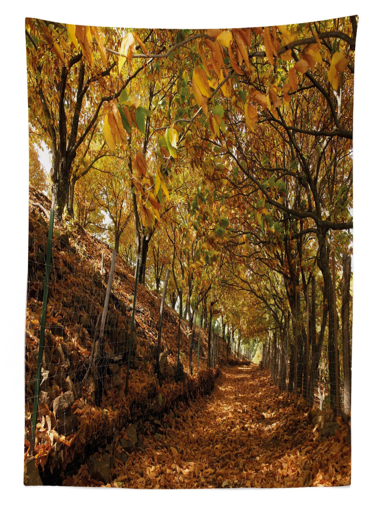 Bereich Für Herbstlaub Farbfest Natur Tischdecke Außen Waschbar Farben, geeignet Wald Abakuhaus Klare den