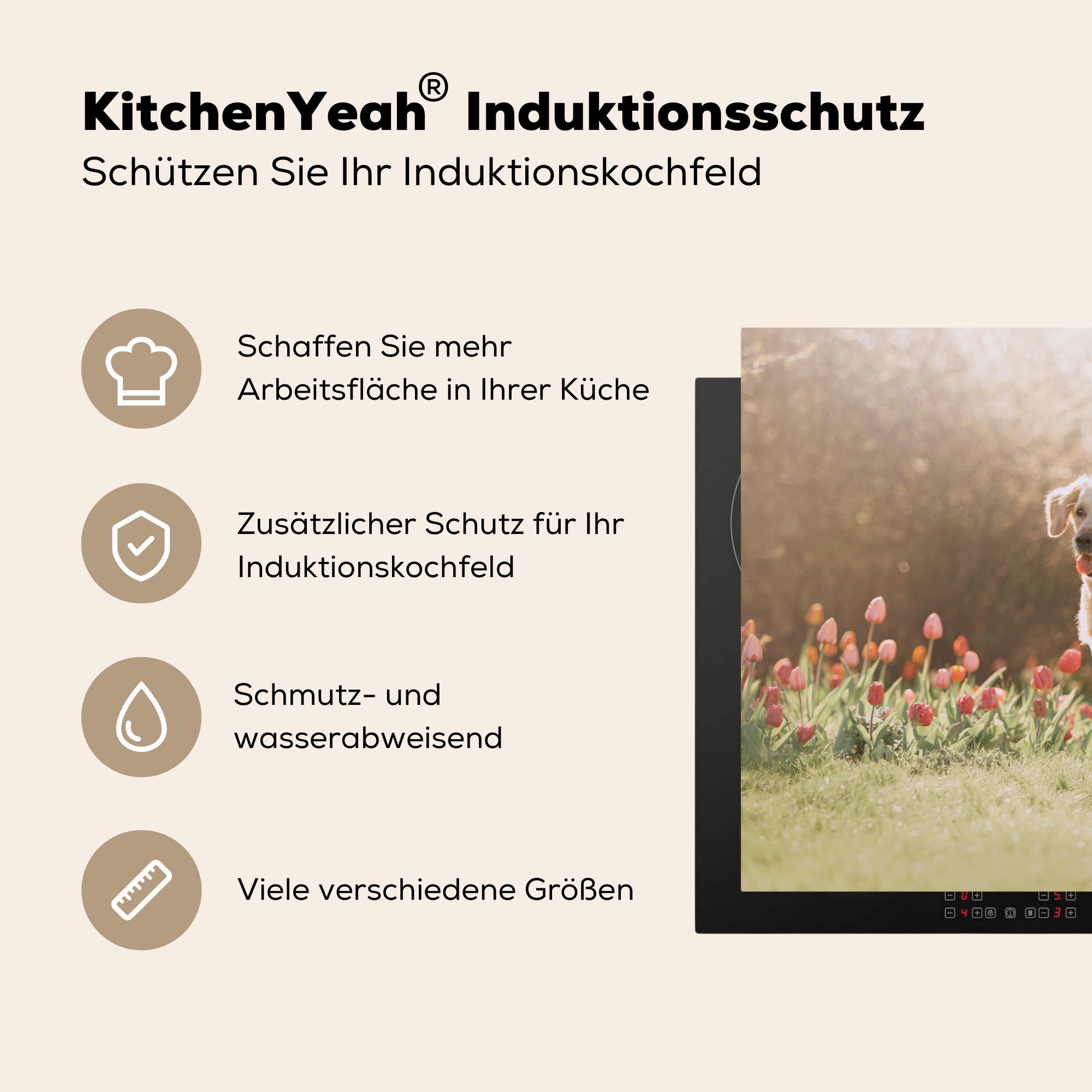 MuchoWow Herdblende-/Abdeckplatte Hunde die 81x52 - Vinyl, küche, Schutz cm, tlg), Frühling, (1 Induktionskochfeld Ceranfeldabdeckung für - Sonne