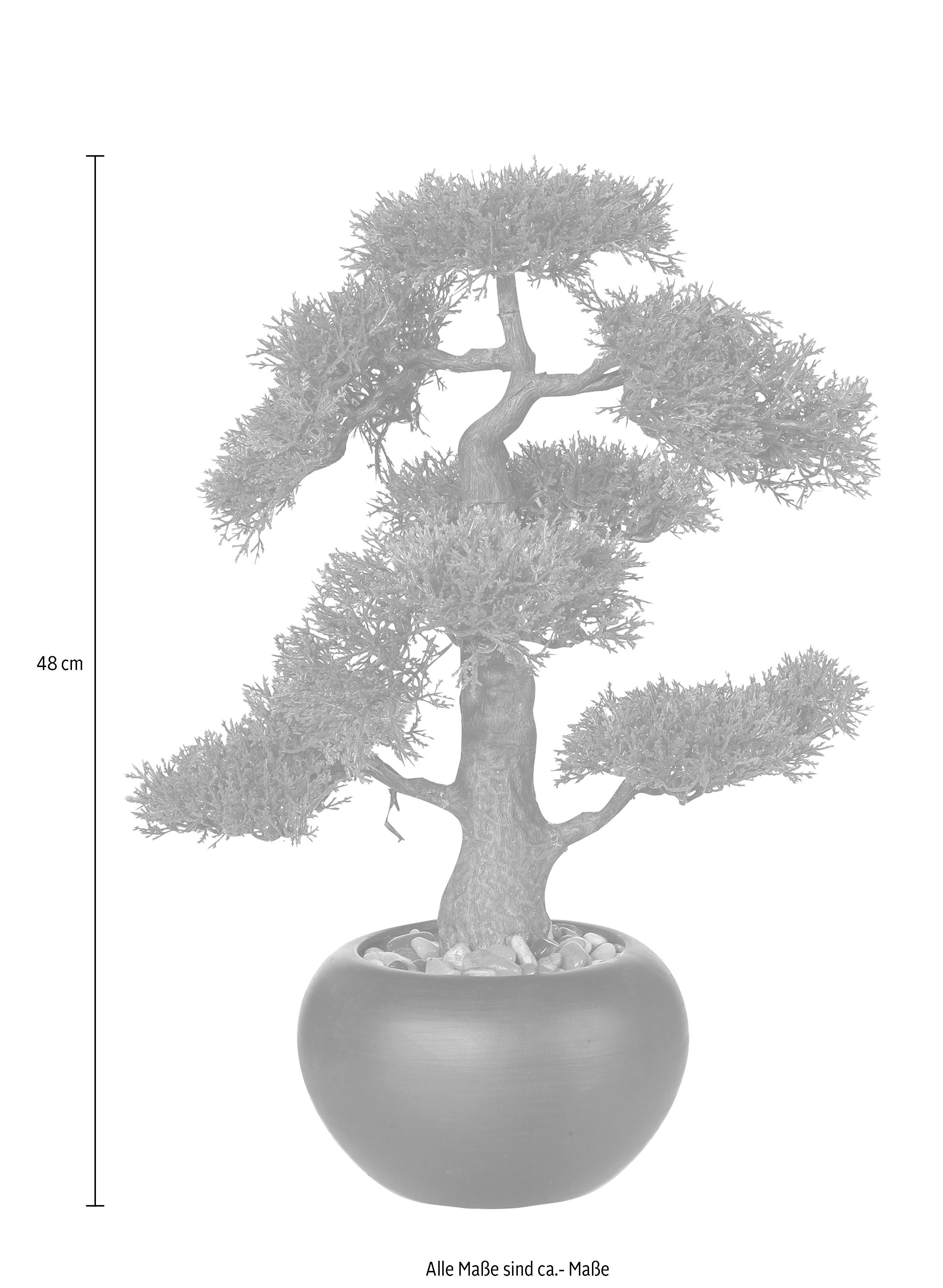 Kunstpflanze Bonsai, Creativ green, Höhe 48 cm günstig online kaufen