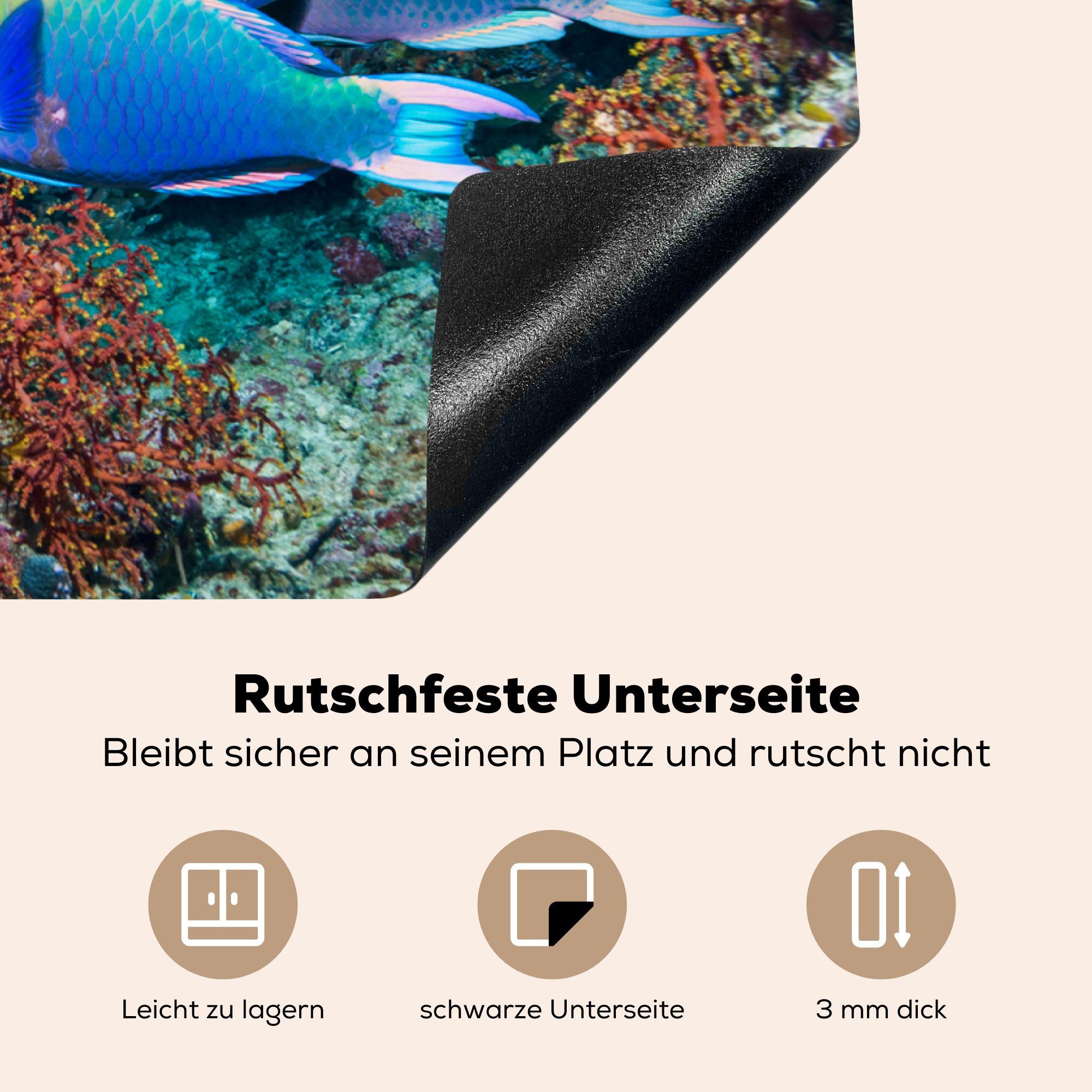 MuchoWow Herdblende-/Abdeckplatte Papageienfisch, (1 küche, tlg), Fische die 81x52 cm, Ceranfeldabdeckung Induktionskochfeld für - Koralle - Vinyl, Schutz