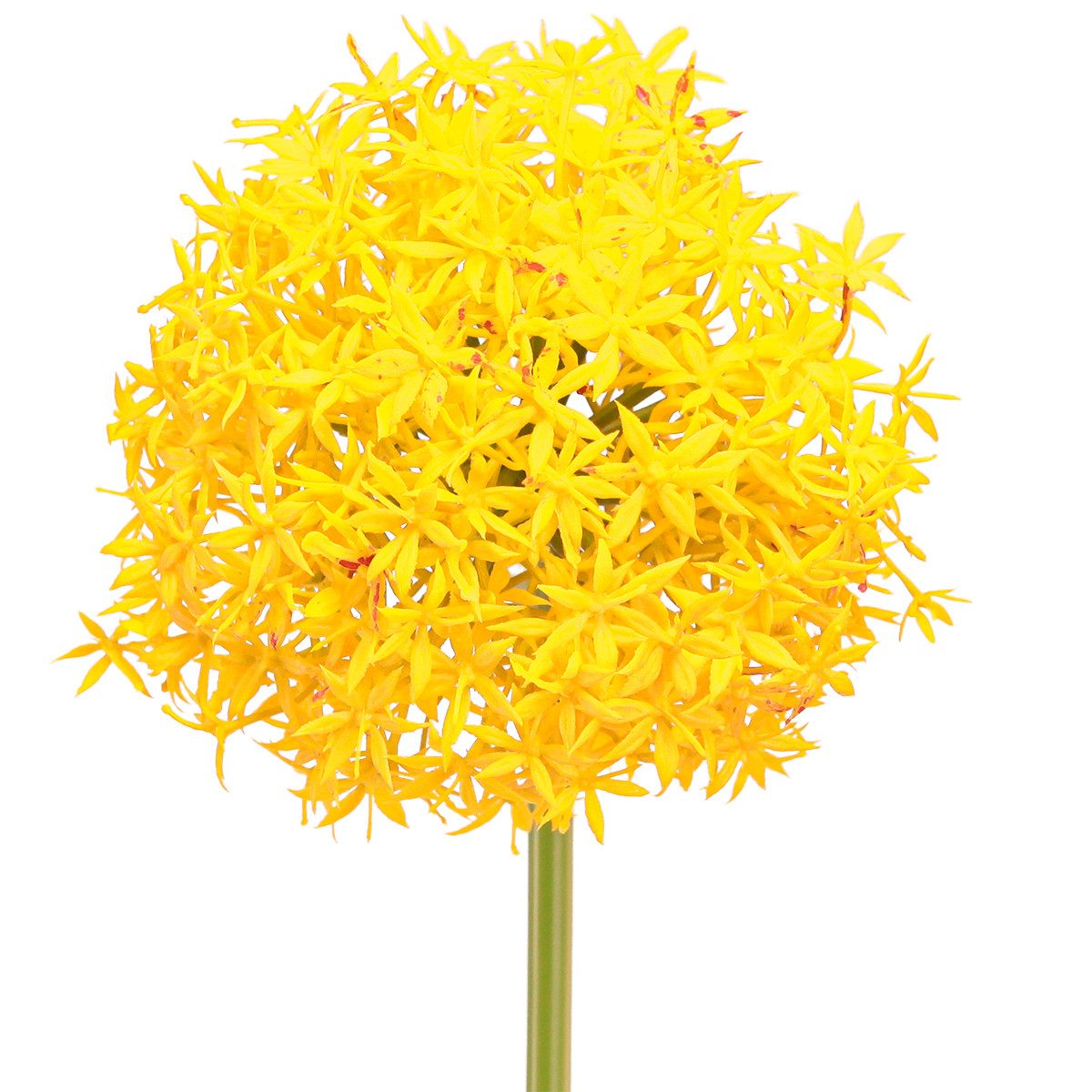 Kunstblume Sommerliche Künstliche Zierlauch Gelb Deko 80cm 2er Set