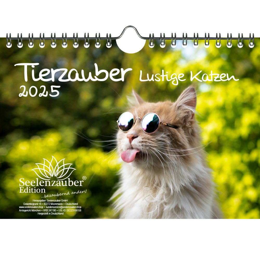Seelenzauber Wandkalender Tierzauber lustige Katzen DIN A5 Kalender für 2025