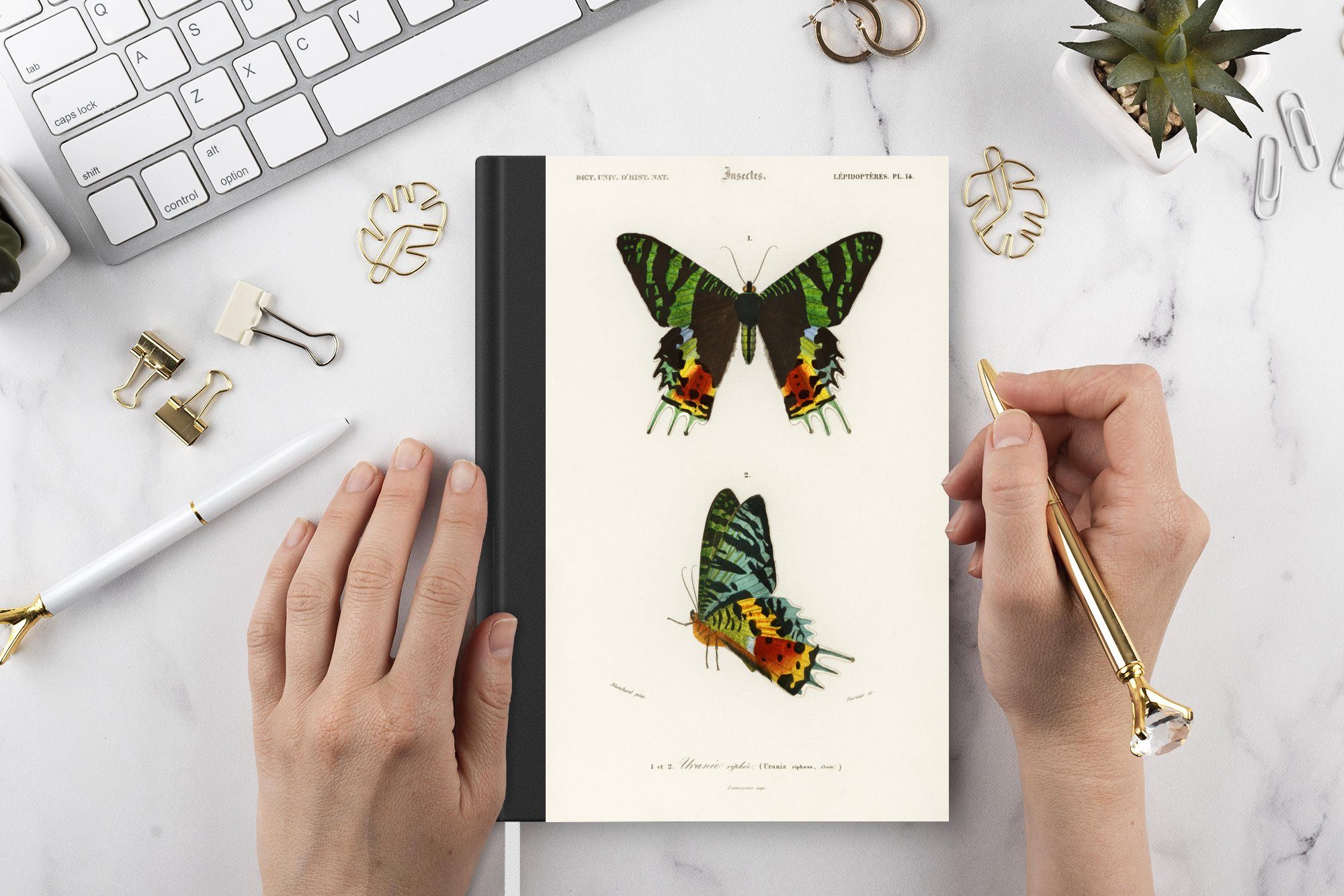 98 Tagebuch, Insekten, MuchoWow - Notizheft, Vintage Seiten, Haushaltsbuch Merkzettel, Notizbuch - Schmetterling Journal, A5,