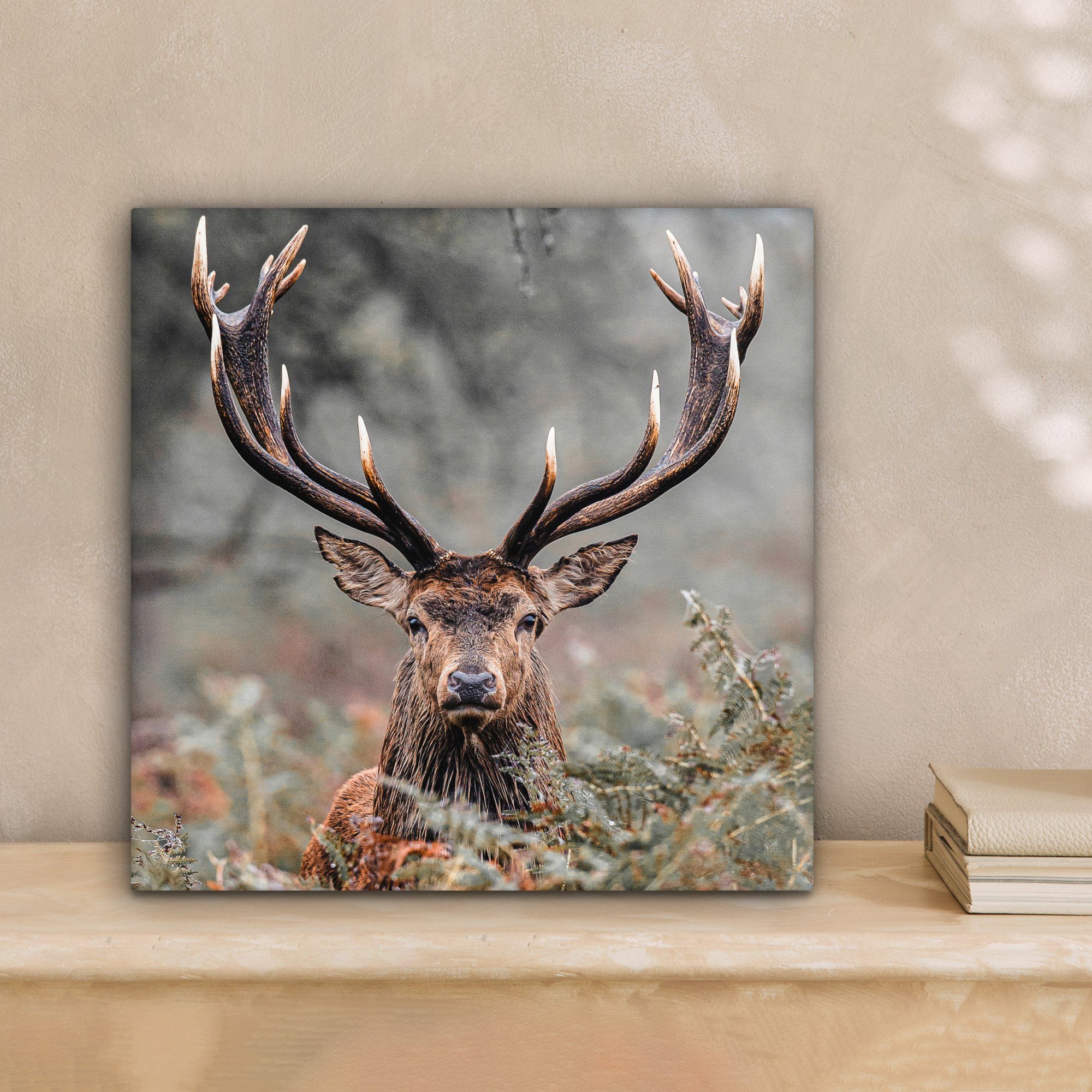 OneMillionCanvasses® Leinwandbild Hirsche - Natur - Herbst - Waldtiere, Fotodruck (1 St), Wandbild, Deko Schlafzimmer Wohnzimmer Flur 20x20 cm