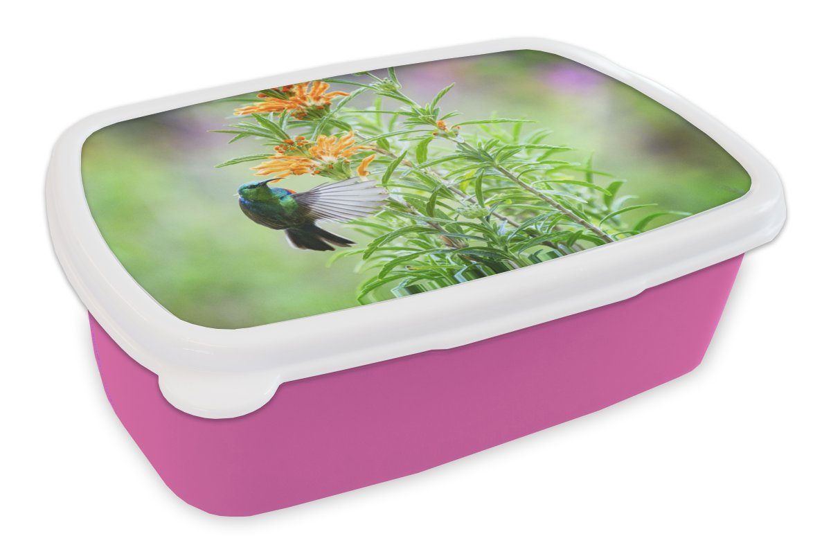 mit Lunchbox Vogels Kinder, Mädchen, Pflanzen MuchoWow Snackbox, Kunststoff, eines bunten (2-tlg), Nahaufnahme Brotbox rosa Erwachsene, orangefarbenen, Kunststoff Brotdose neben für