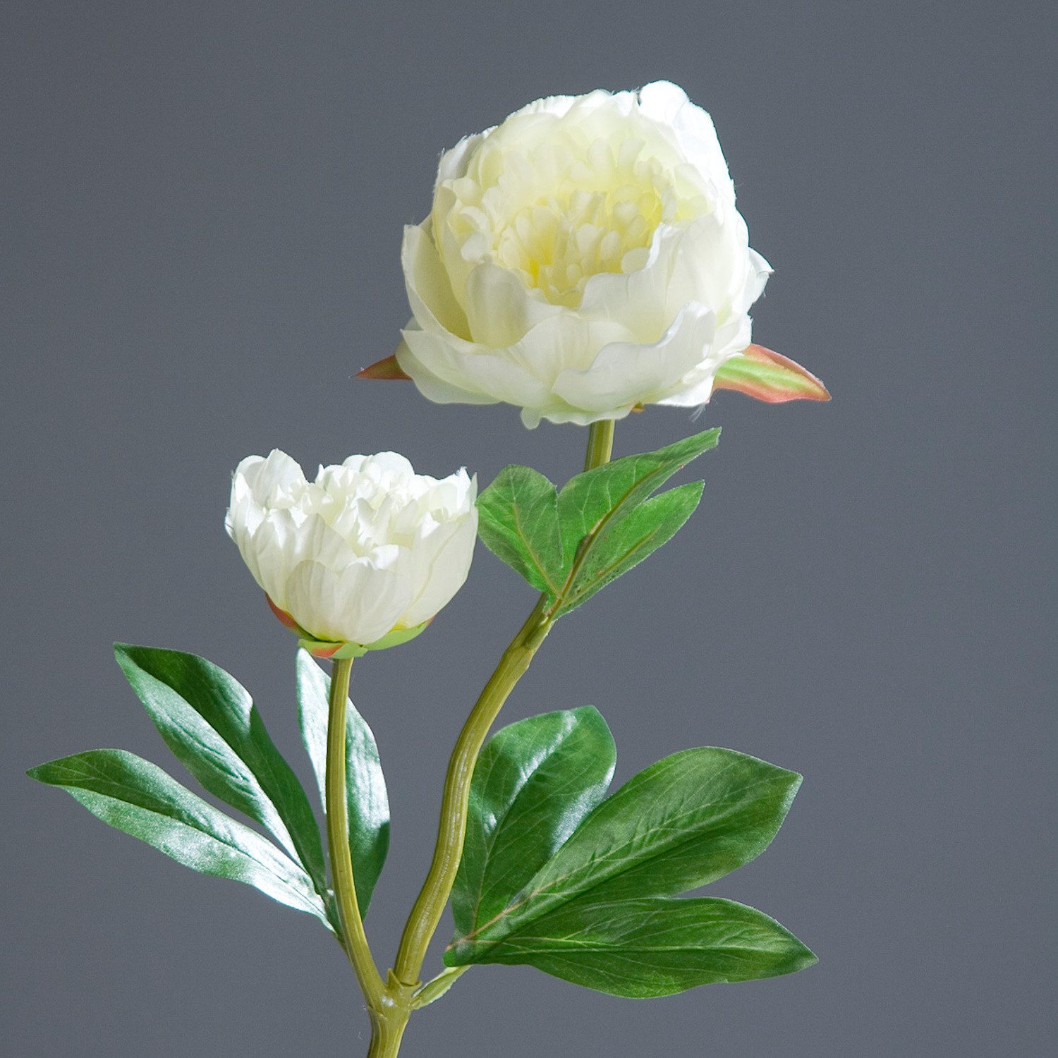 Kunstblume Weiß, Durchmesser 10 cm, DPI, günstig online kaufen