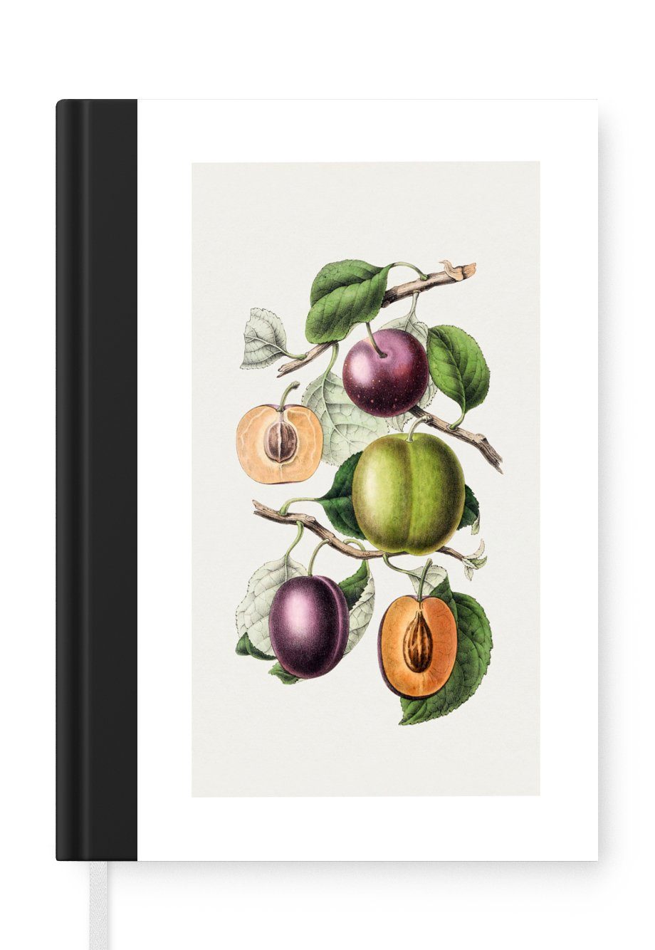 MuchoWow Notizbuch Lebensmittel - Obst - Zweige, Journal, Merkzettel, Tagebuch, Notizheft, A5, 98 Seiten, Haushaltsbuch