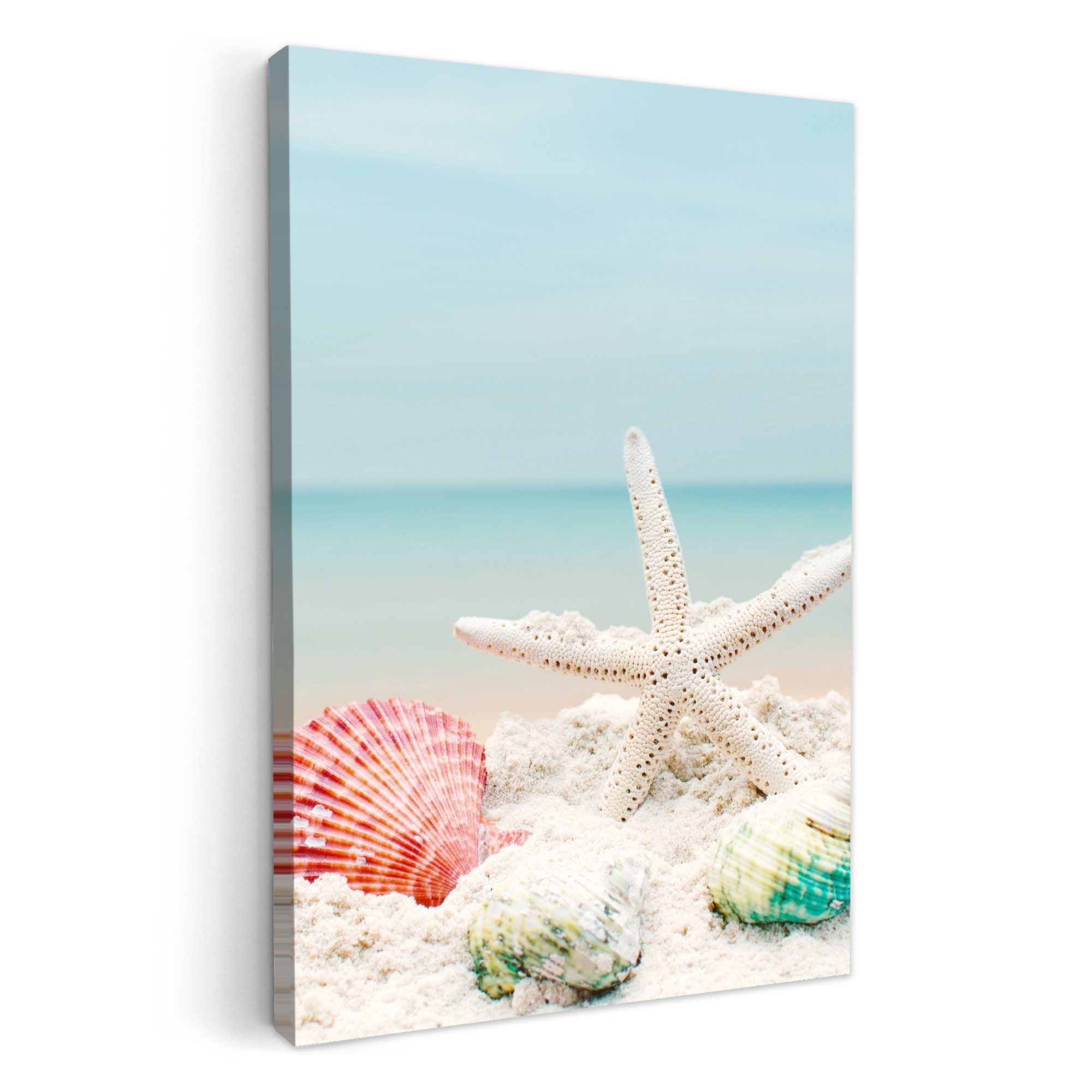 OneMillionCanvasses® Leinwandbild Strand - Seestern - Muscheln - Meer, Fotodruck (1 St), Badezimmer Deko, Изображения WC, Toilette Wanddeko 20x30 cm