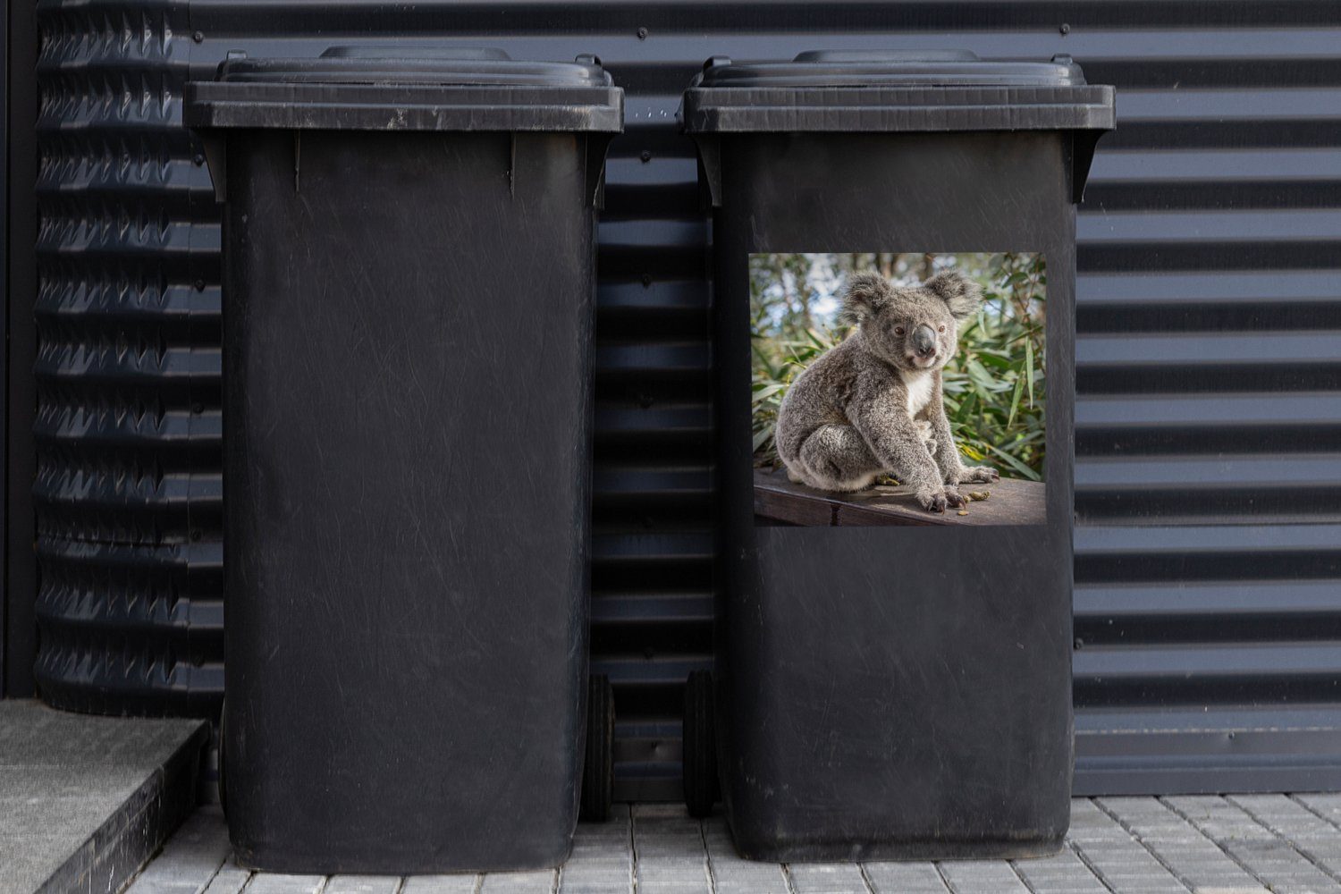 MuchoWow Wandsticker Koala - Holz Sticker, Jungen Kinder - - - Container, Pflanzen Abfalbehälter - Mülleimer-aufkleber, Mülltonne, Mädchen (1 St)