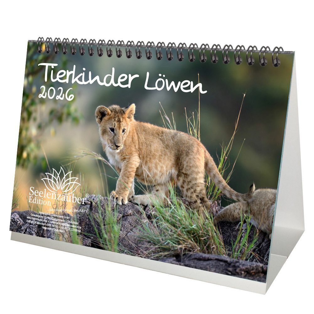 Seelenzauber Tischkalender Tierkinder Löwen DIN A5 Tischkalender für 2026 Löwenbabys