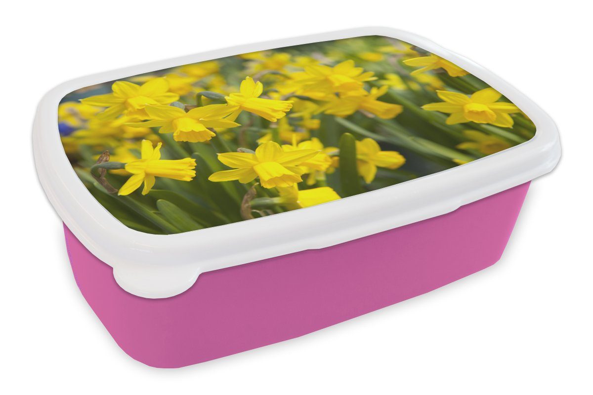 MuchoWow Lunchbox Blume - Narzissen - Gelb, Kunststoff, (2-tlg), Brotbox für Erwachsene, Brotdose Kinder, Snackbox, Mädchen, Kunststoff rosa | Lunchboxen