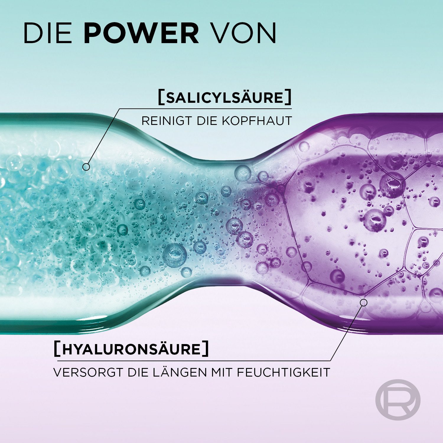 L'ORÉAL PARIS Haarshampoo L'Oréal Paris Elvital Hydra [Hyaluronic] Pure Shampoo, Packung, 6-tlg., Reinigt fettige Kopfhaut, spendet bis zu 72h Feuchtigkeit für Längen.