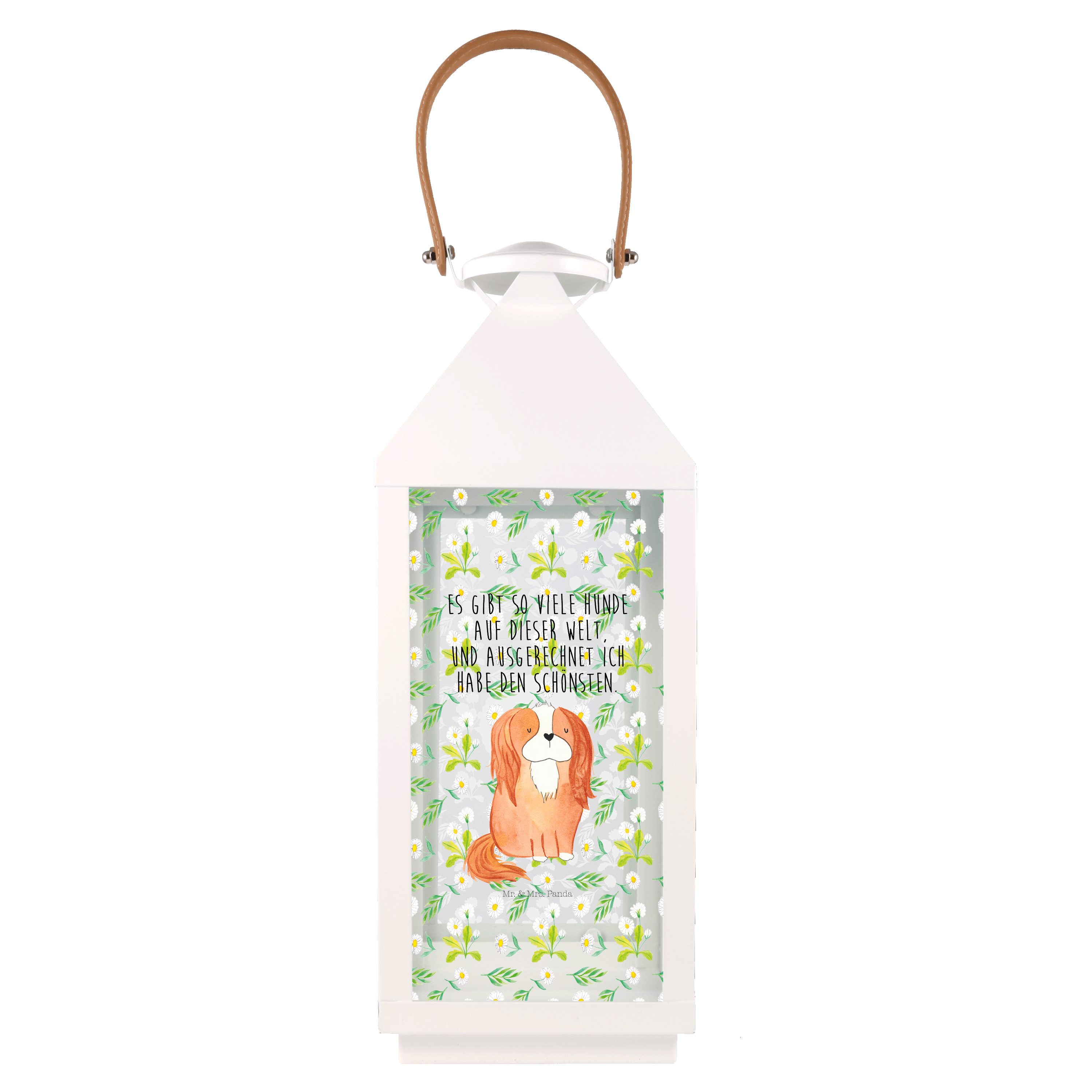 Mr. & Mrs. Panda Gartenleuchte Hund Cavalier King Charles Spaniel, Metall Laterne L, Transparent, Li
