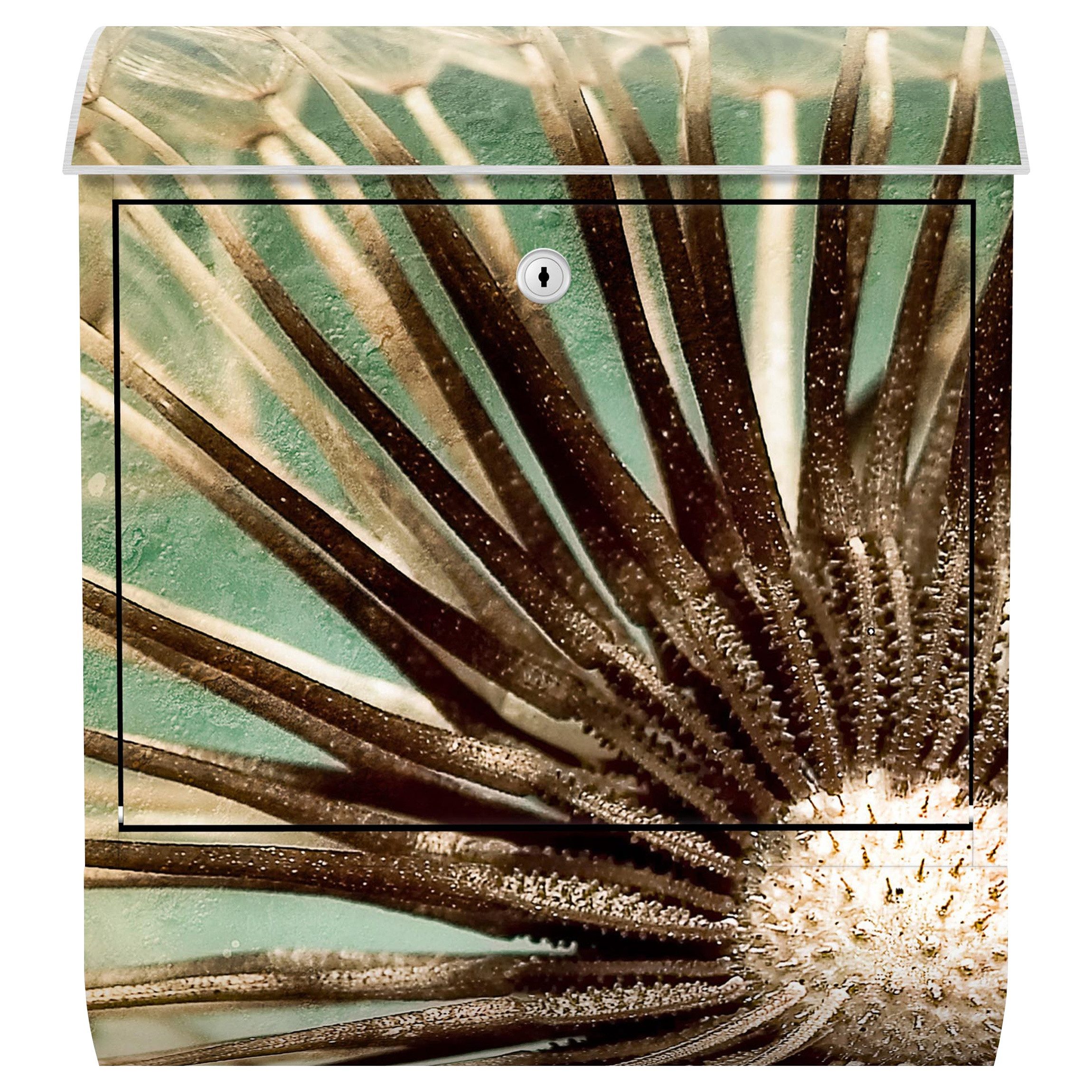 Bilderdepot24 Briefkasten Wandbriefkasten mit Zeitungsfach Motiv Pusteblume Nahaufnahme (inkl. Zeitungsrolle und 3 Schlüssel), Motivdruck, wetterfest, UV-beständig, abschließbar, 46x39x13 cm